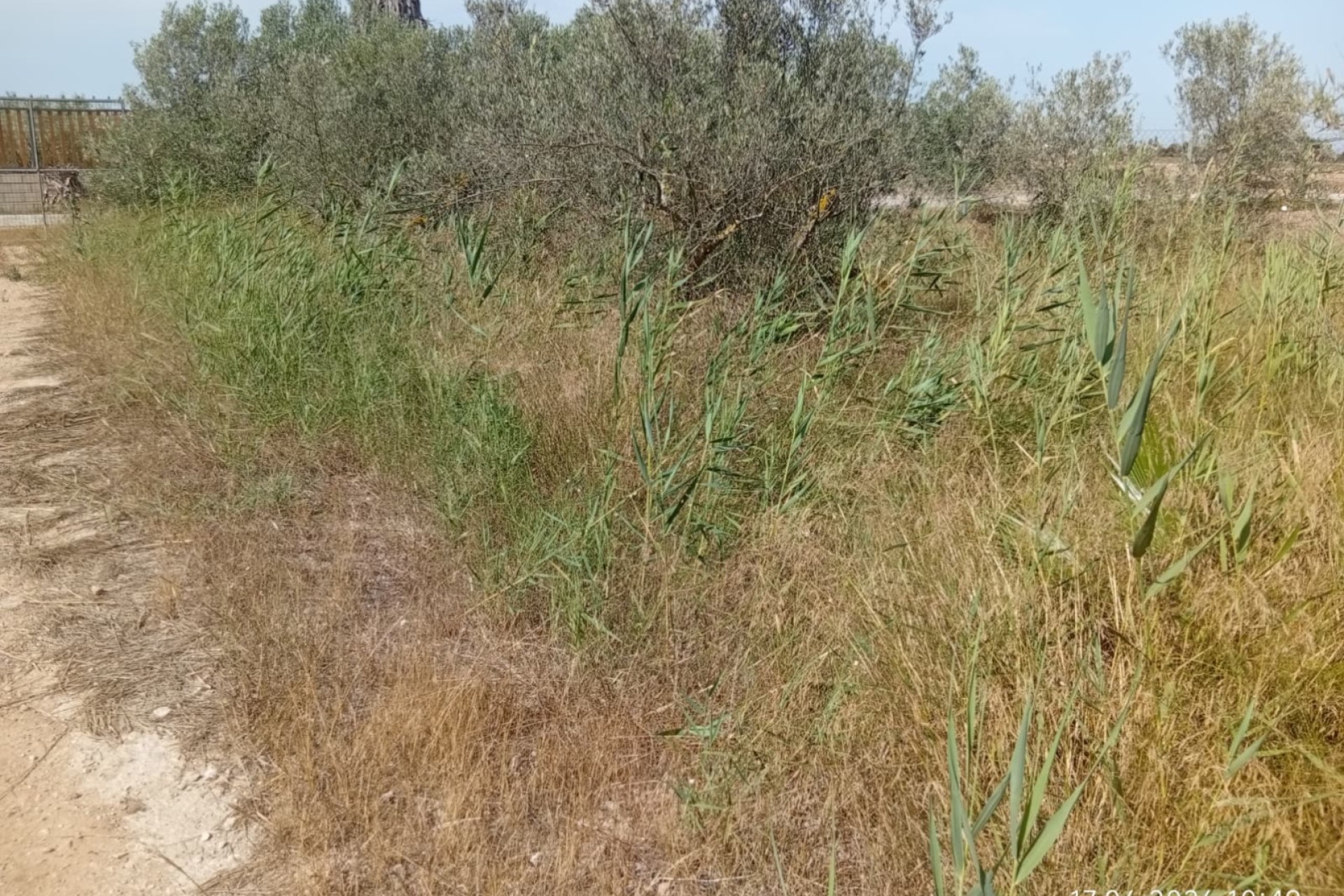 Sale - Plot - Guardamar del Segura - Guardamar