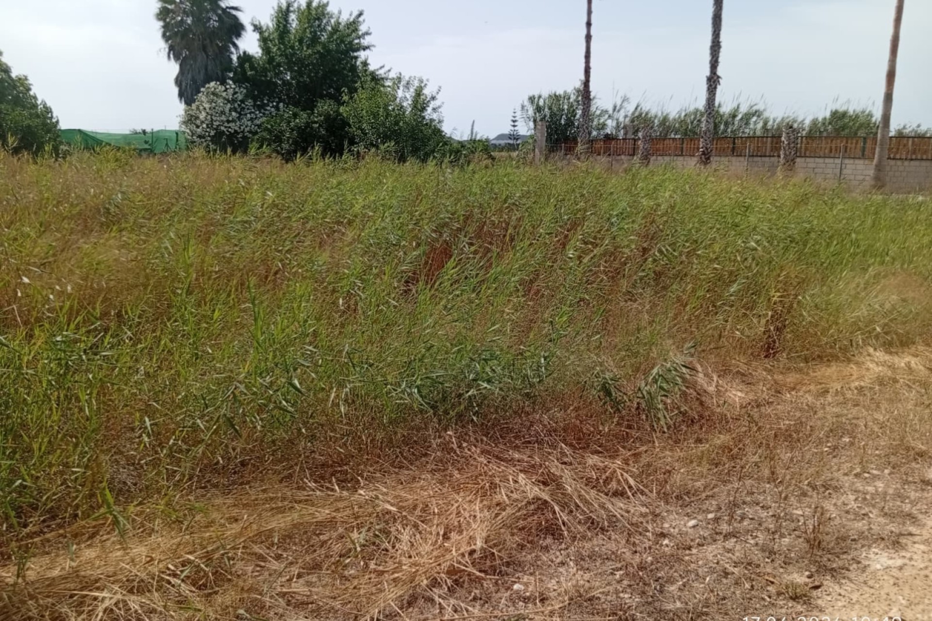 Sale - Plot - Guardamar del Segura - Guardamar