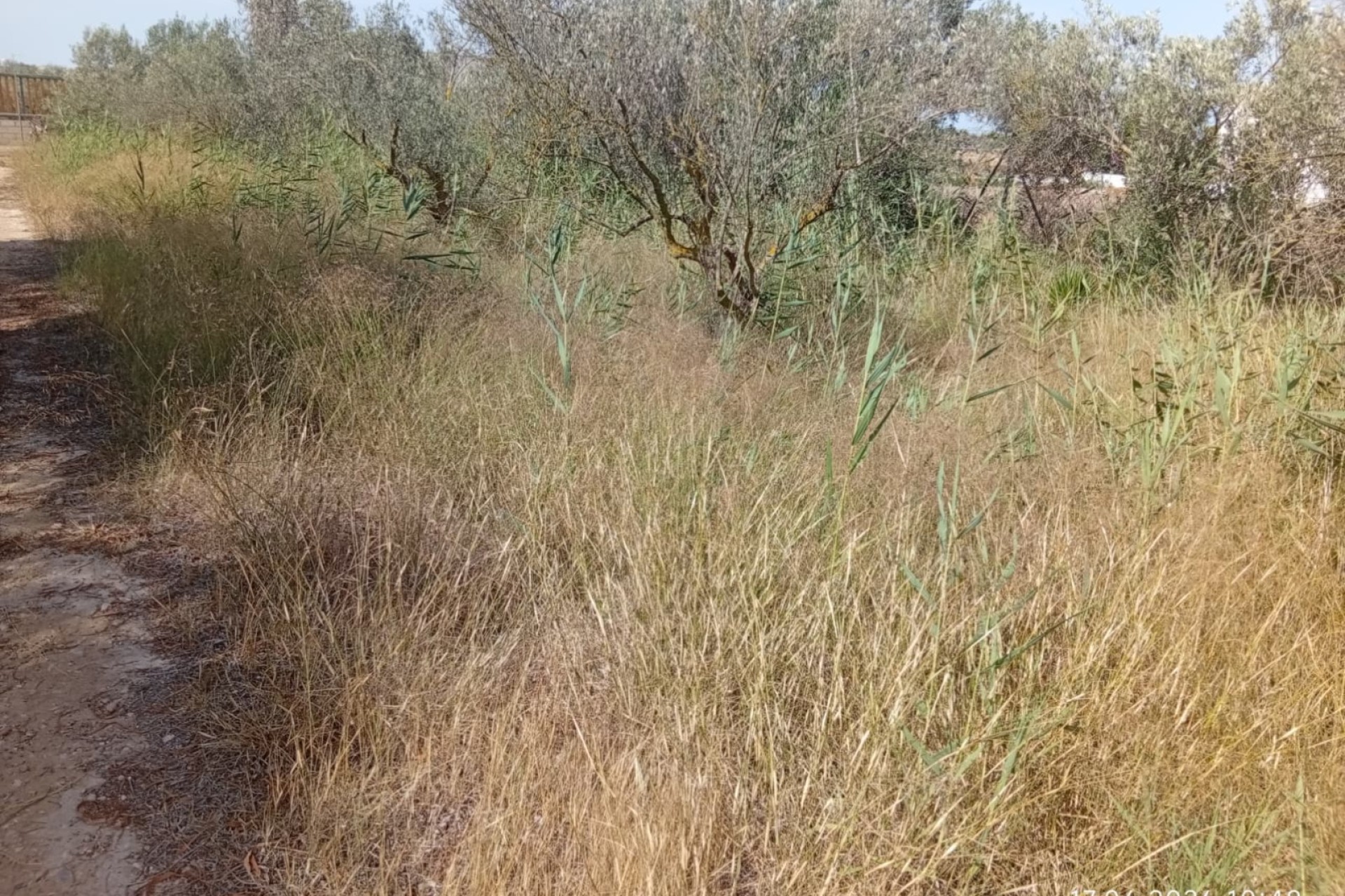 Sale - Plot - Guardamar del Segura - Guardamar