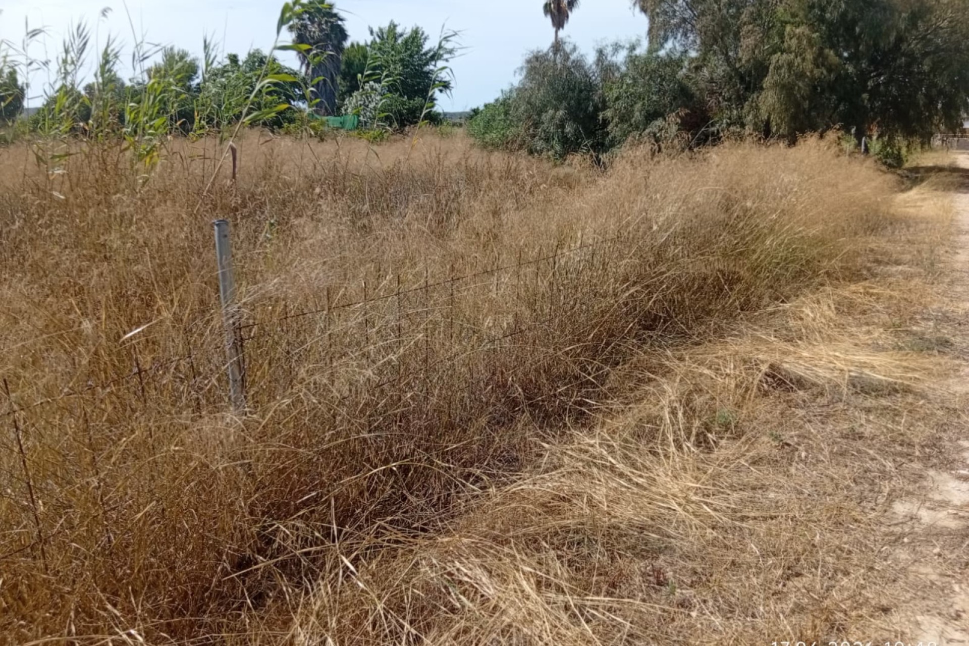 Sale - Plot - Guardamar del Segura - Guardamar