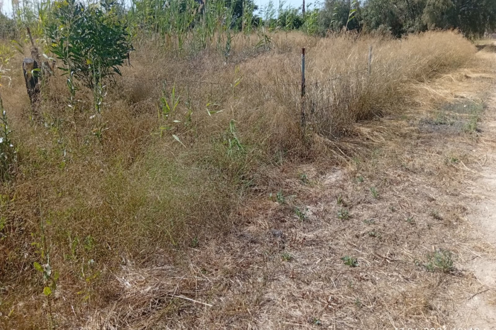 Sale - Plot - Guardamar del Segura - Guardamar