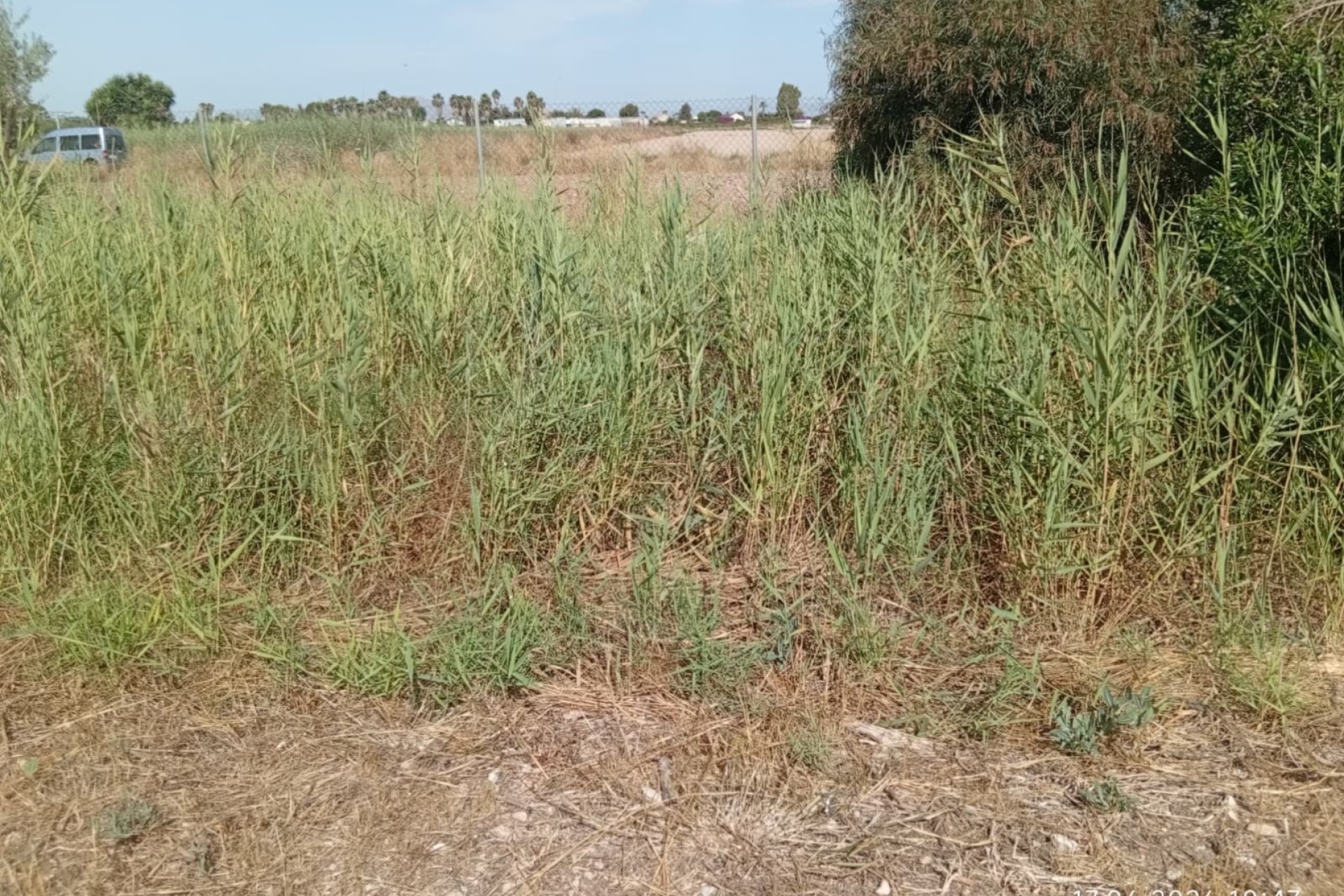 Sale - Plot - Guardamar del Segura - Guardamar