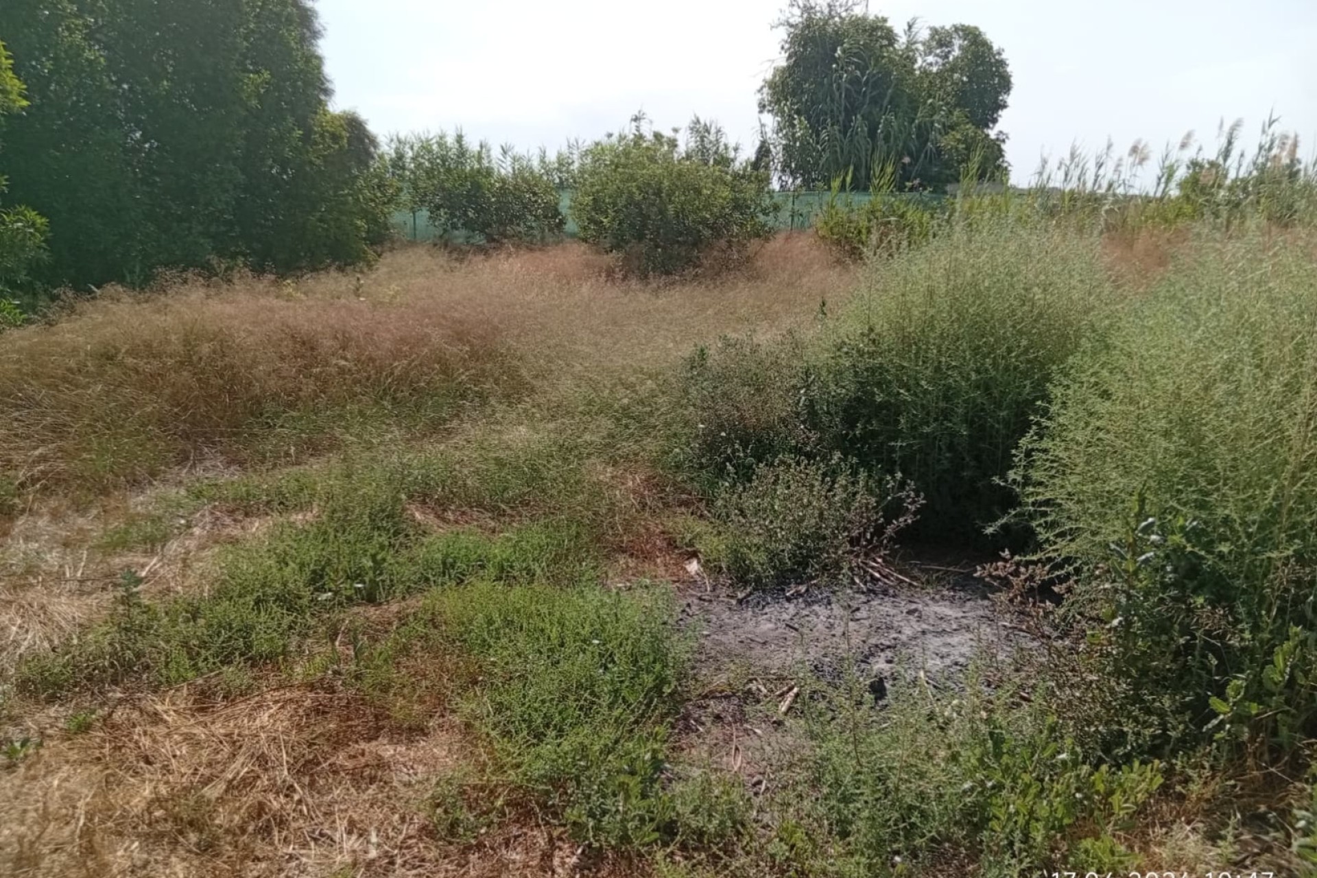 Sale - Plot - Guardamar del Segura - Guardamar