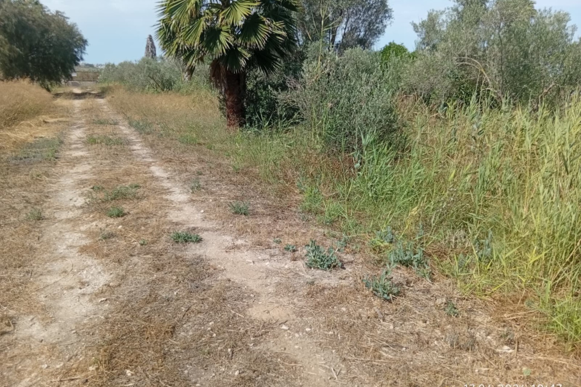 Sale - Plot - Guardamar del Segura - Guardamar