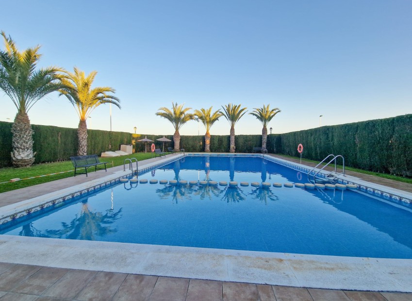 Sale - Quad - Elche - El Pinet