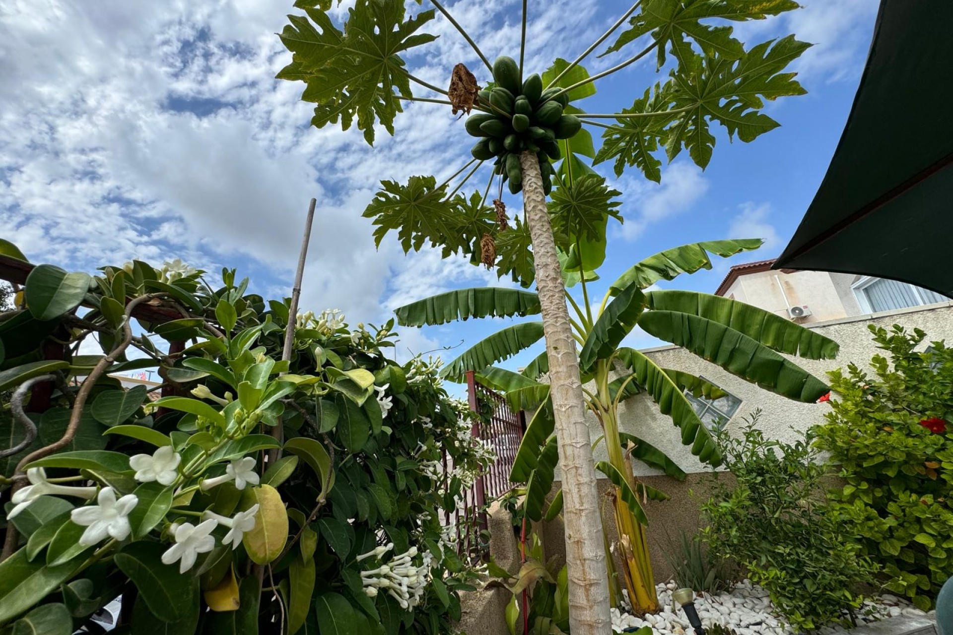 Sale - Quad - San Fulgencio - Urb. La Marina