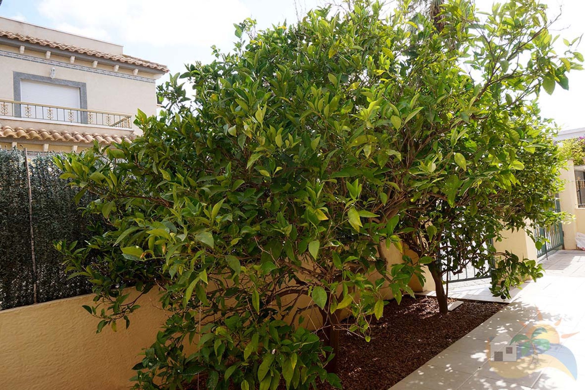 Sale - Quad - San Fulgencio - Urb. Oasis