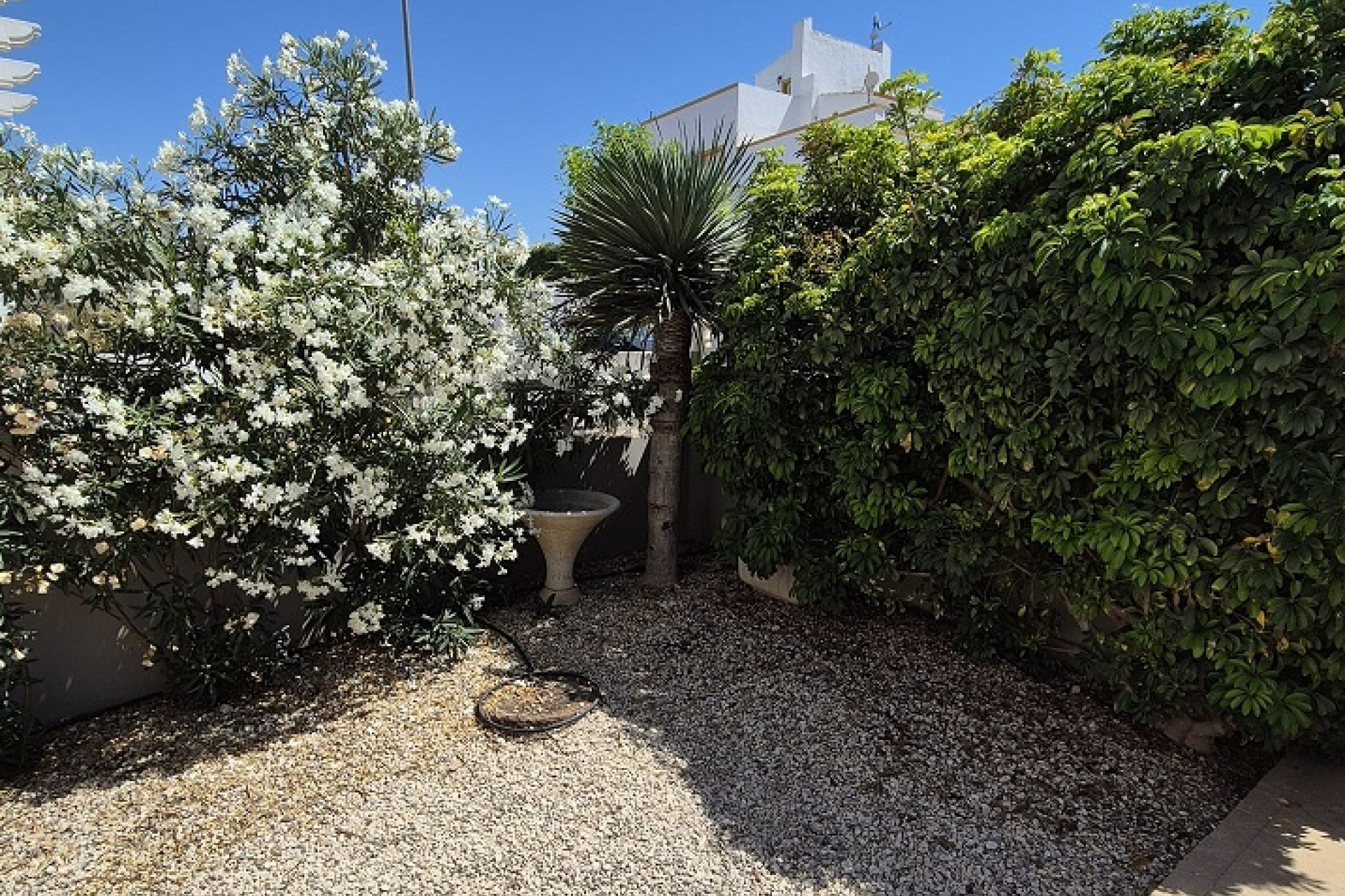 Sale - Reihenhaus - San Fulgencio - Urb. La Marina