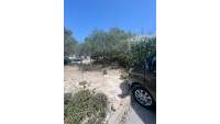 Sale - Terraced house - San Fulgencio - Urb. La Marina