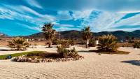Sale - Villa - Alicante