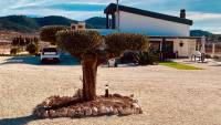 Sale - Villa - Alicante
