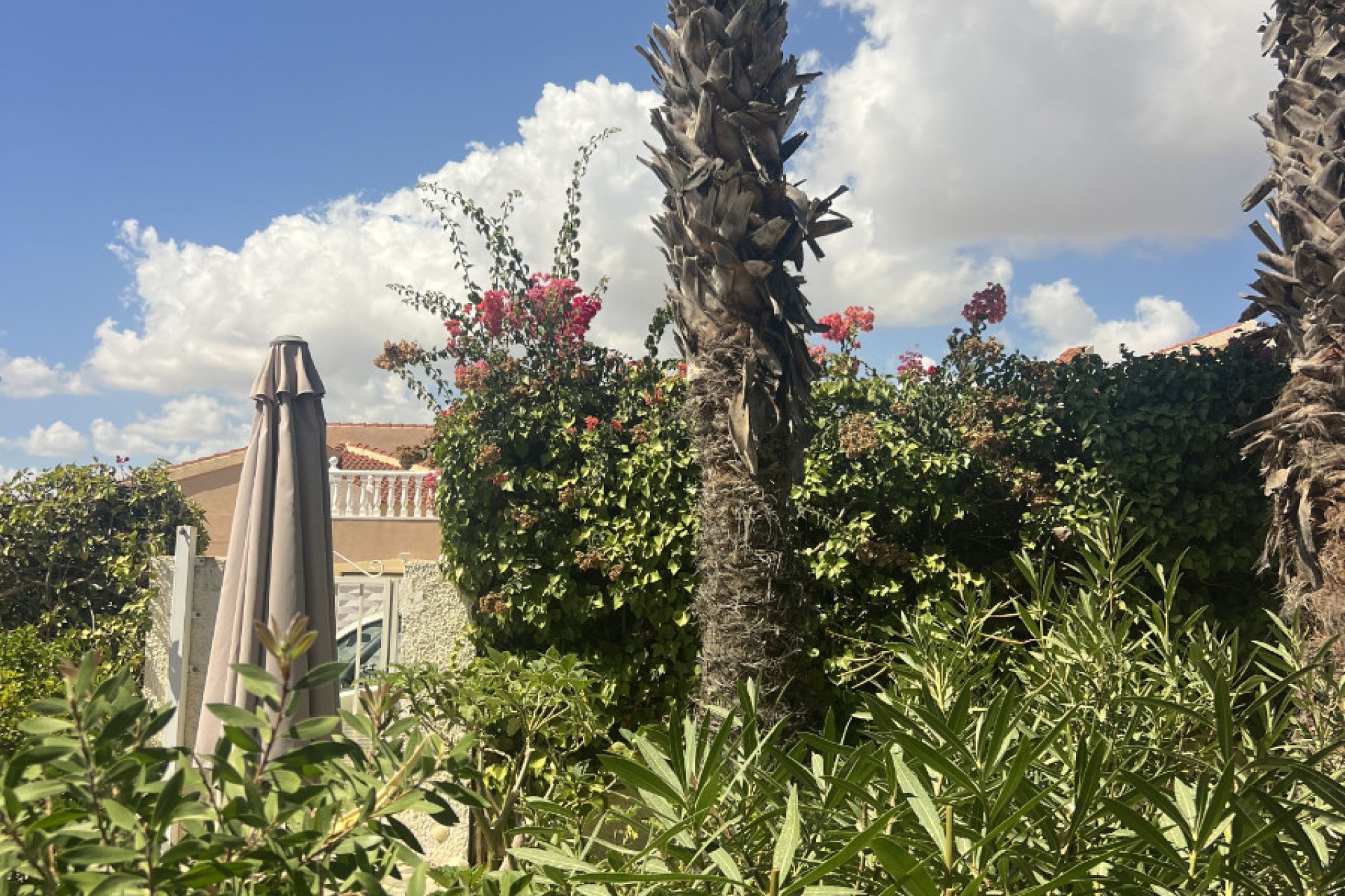 Sale - Villa - Rojales - Quesada