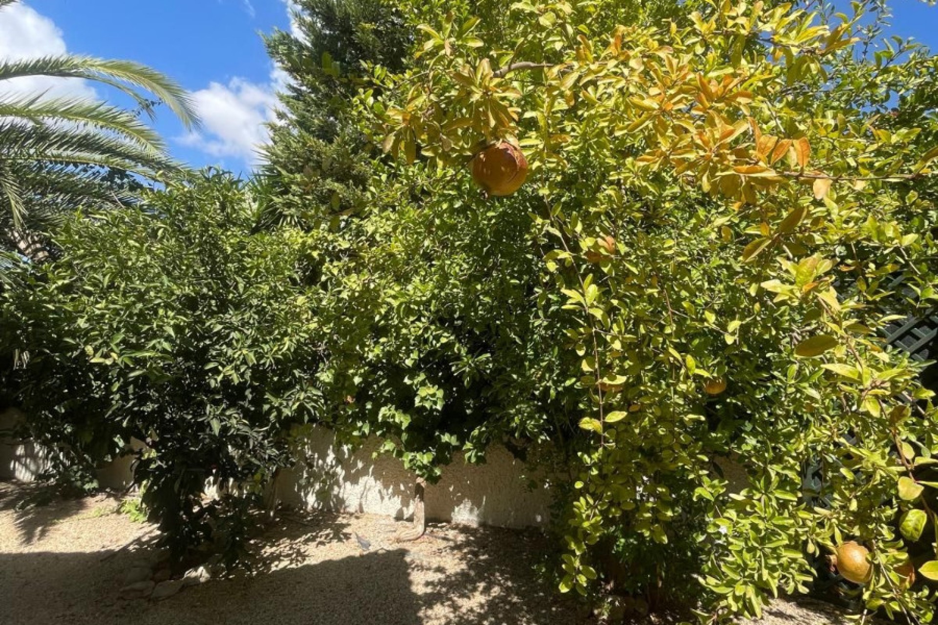 Sale - Villa - Rojales - Quesada