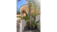 Sale - Villa - San Fulgencio - Urb. La Marina