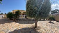 Sale - Villa - Torrevieja - North Torrevieja