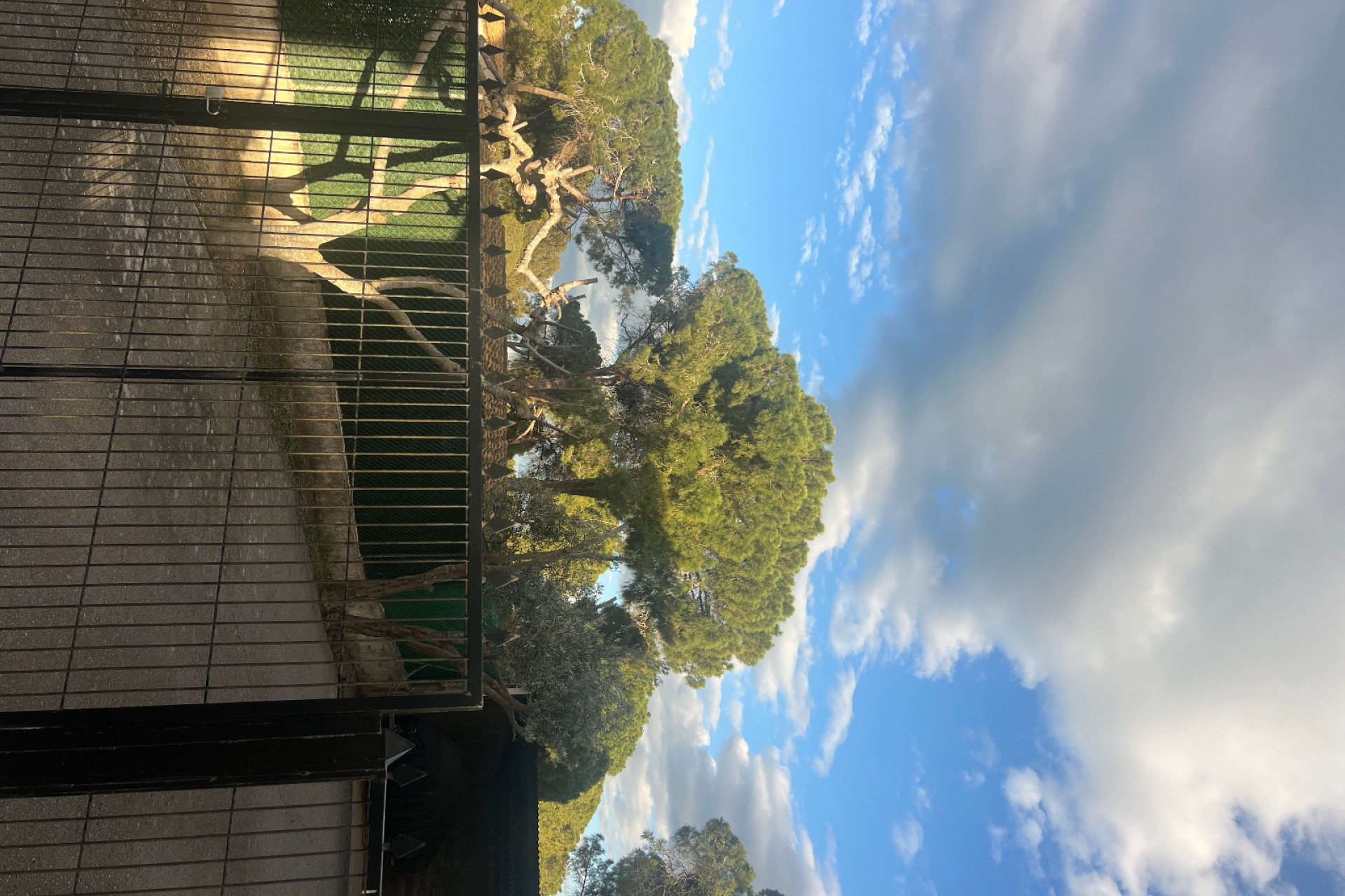 Sale - Wohnung - Guardamar del Segura - Urbanisation Buenavista