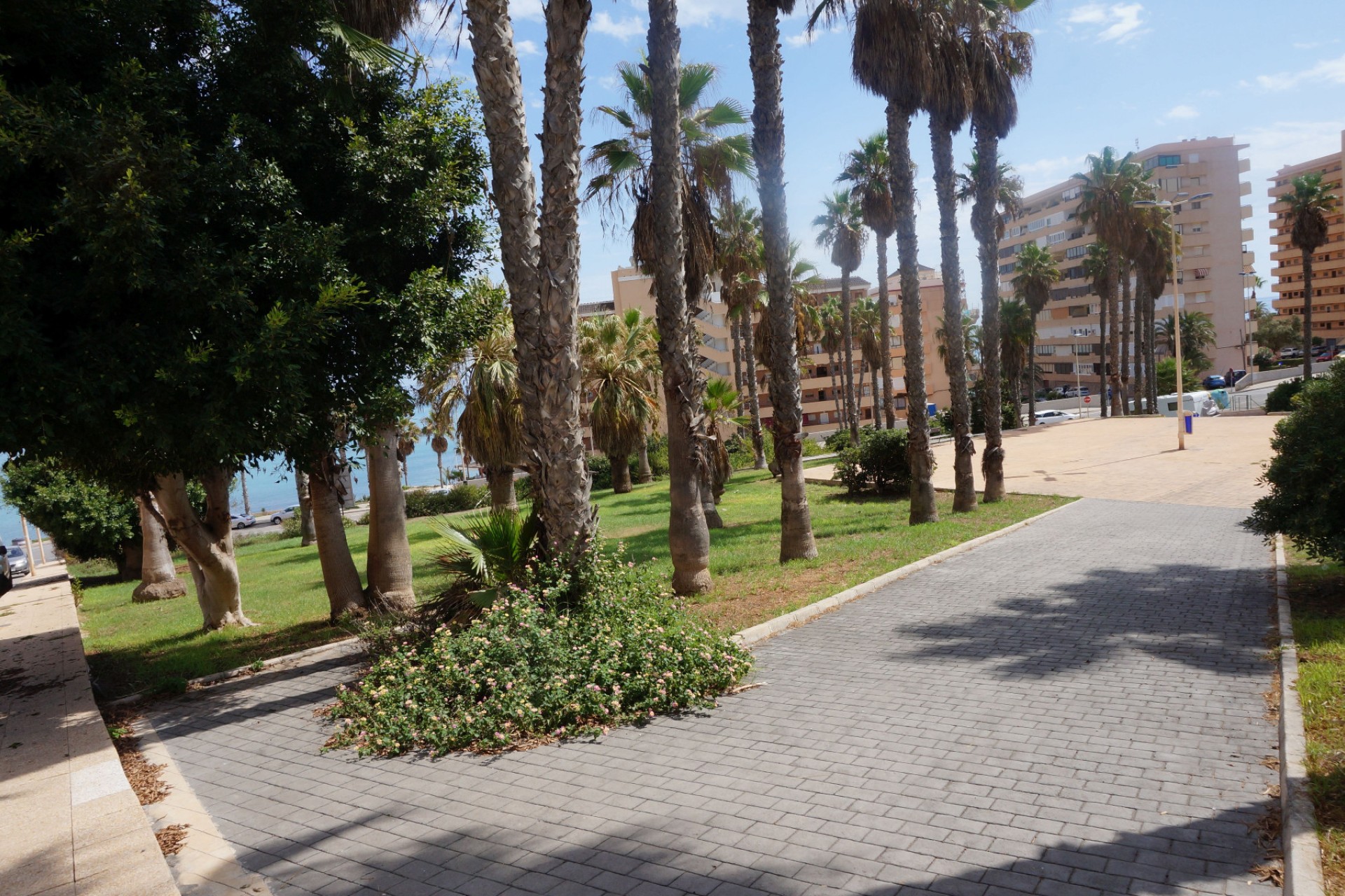 Sale - Wohnung - La Mata