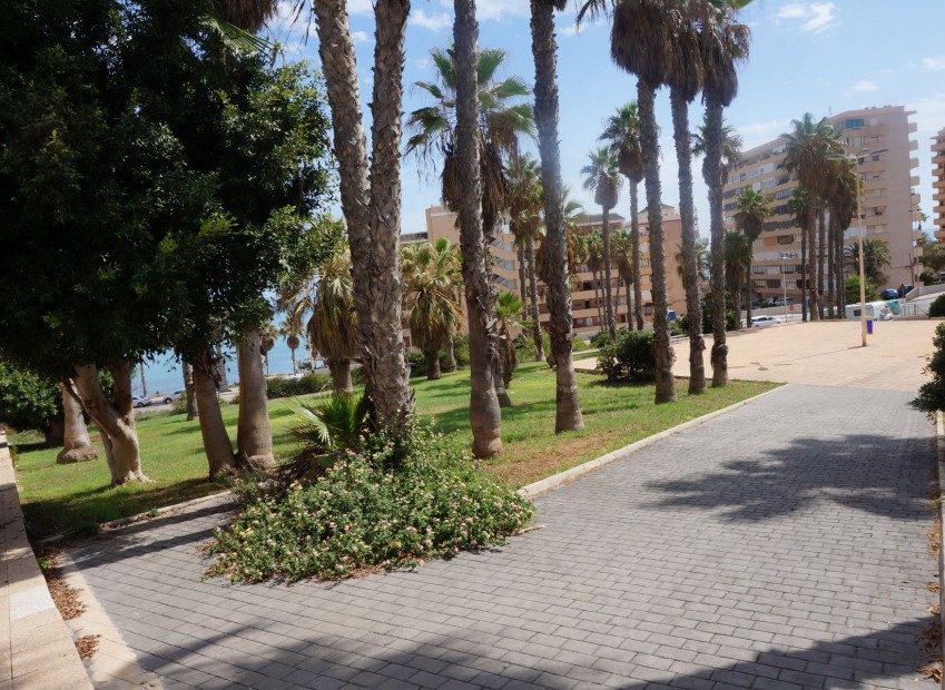 Venta - Apartamento - La Mata