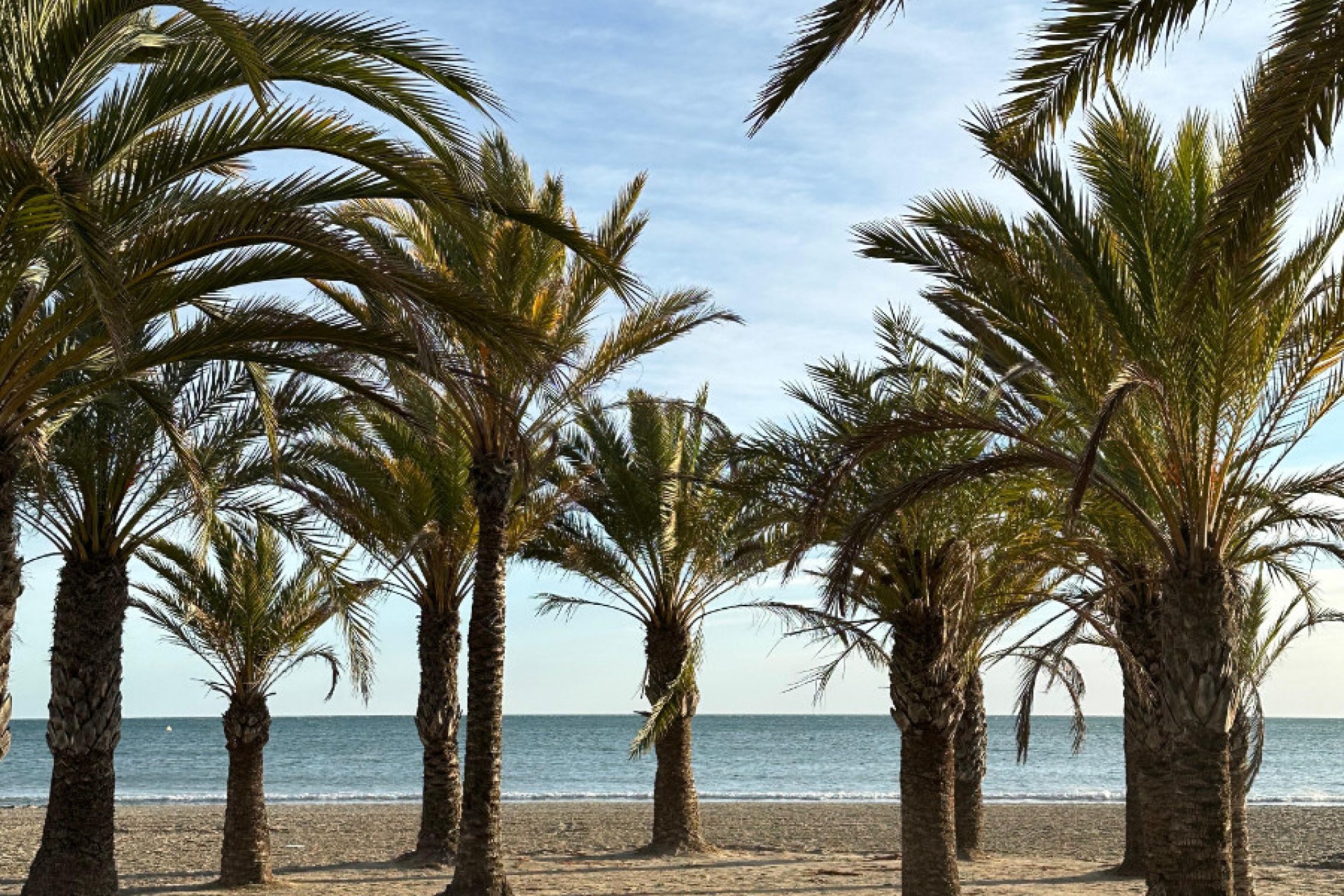 Venta - Apartamento - Santa Pola - Santa Pola, Playa Lisa