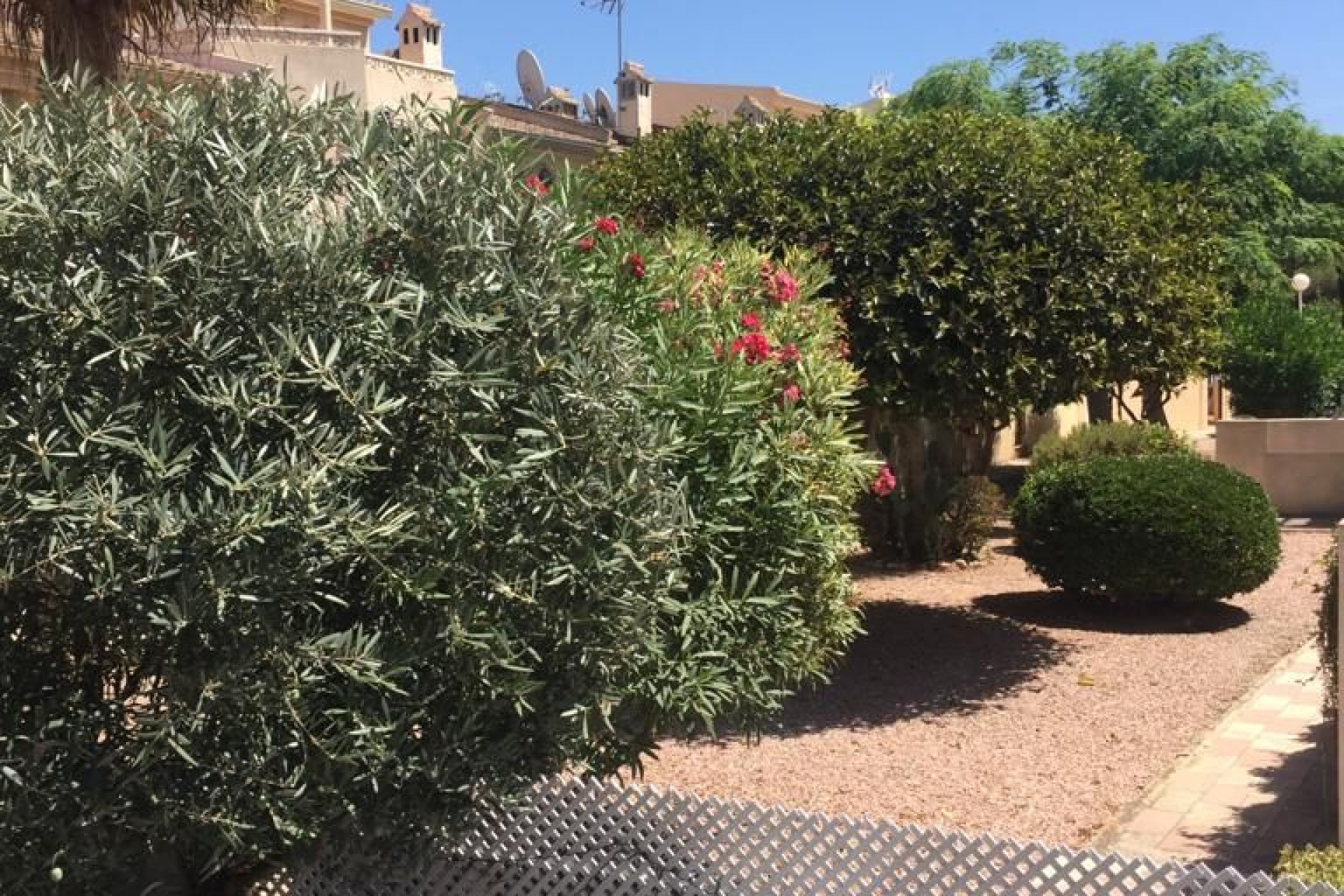 Venta - Casa adosada - Guardamar del Segura - Urbanización Buenavista