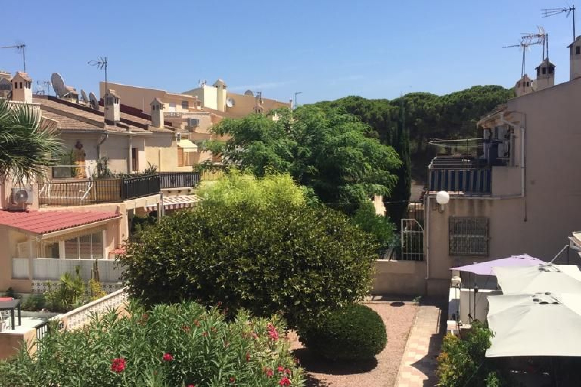 Venta - Casa adosada - Guardamar del Segura - Urbanización Buenavista