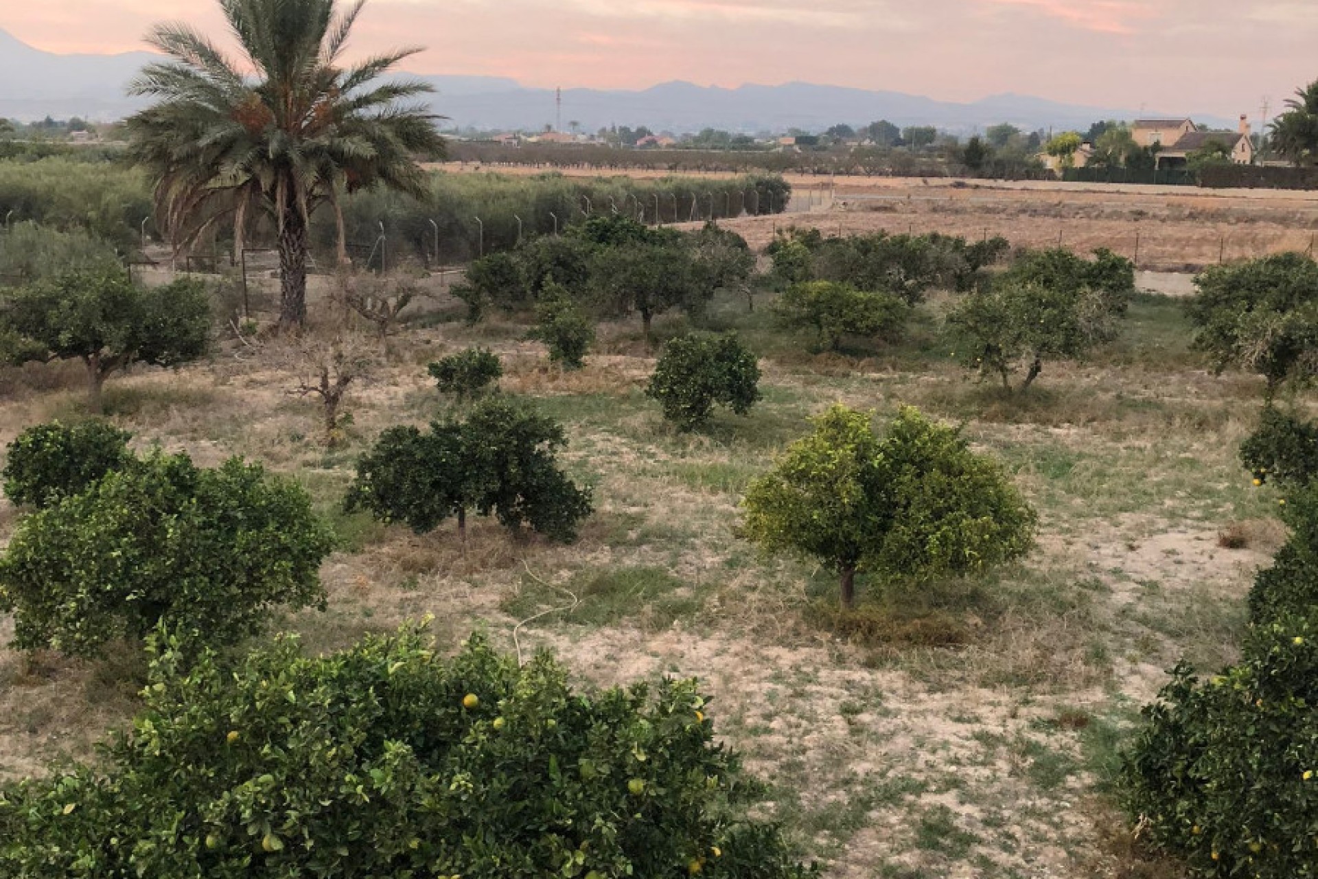 Venta - Casa de campo - Elche - La Marina