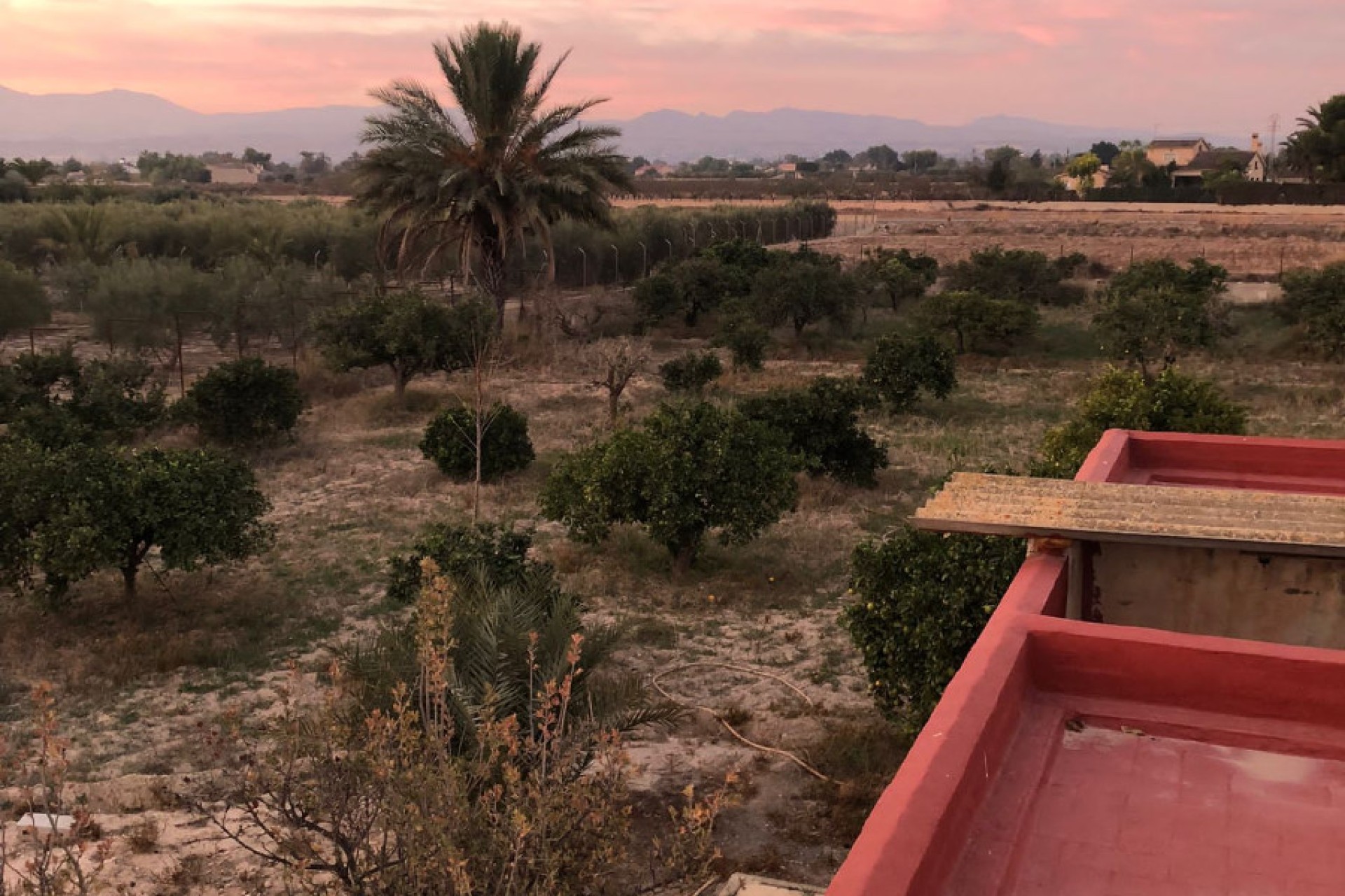 Venta - Casa de campo - Elche - La Marina