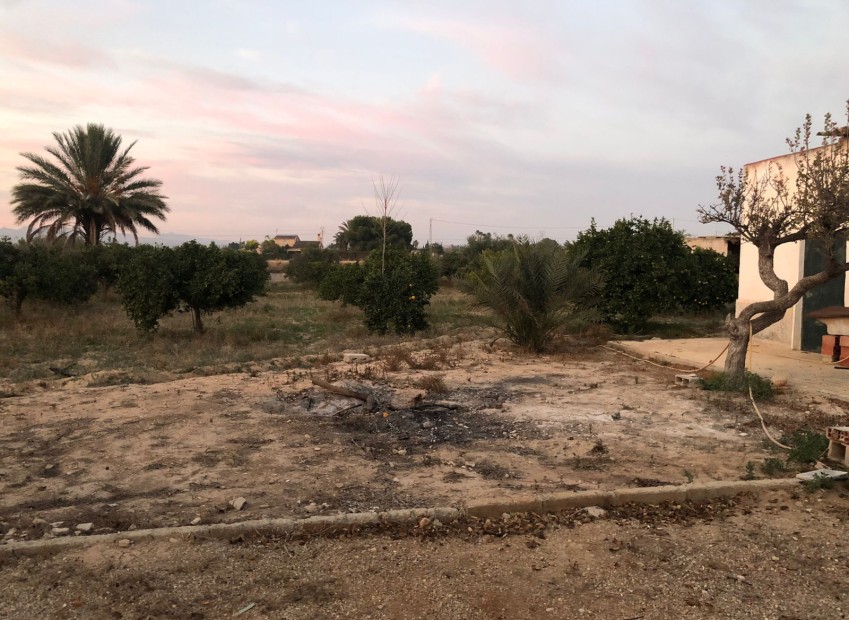 Venta - Casa de campo - Elche - La Marina