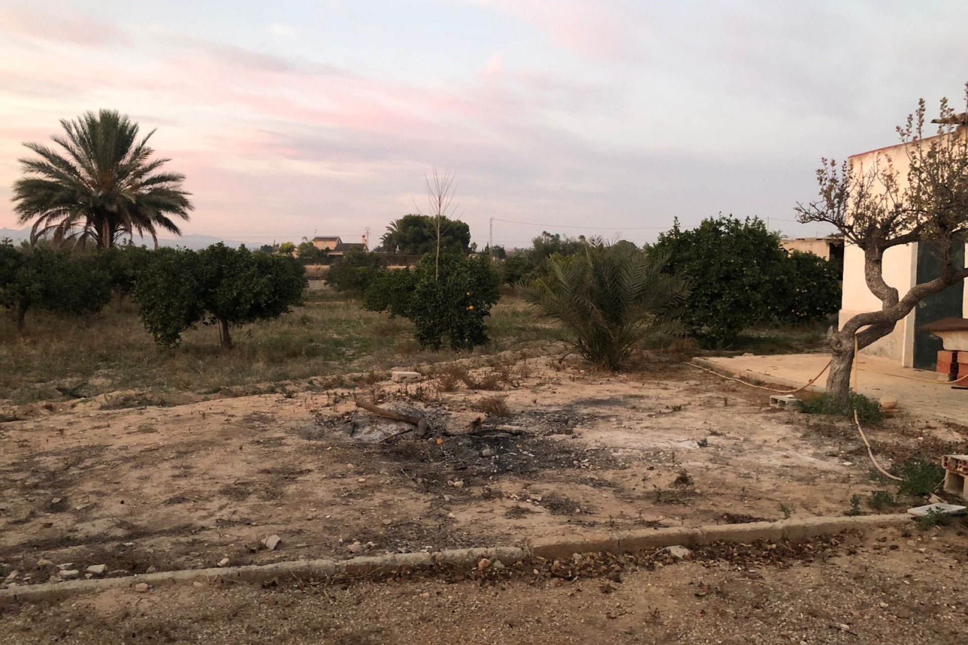 Venta - Casa de campo - Elche - La Marina