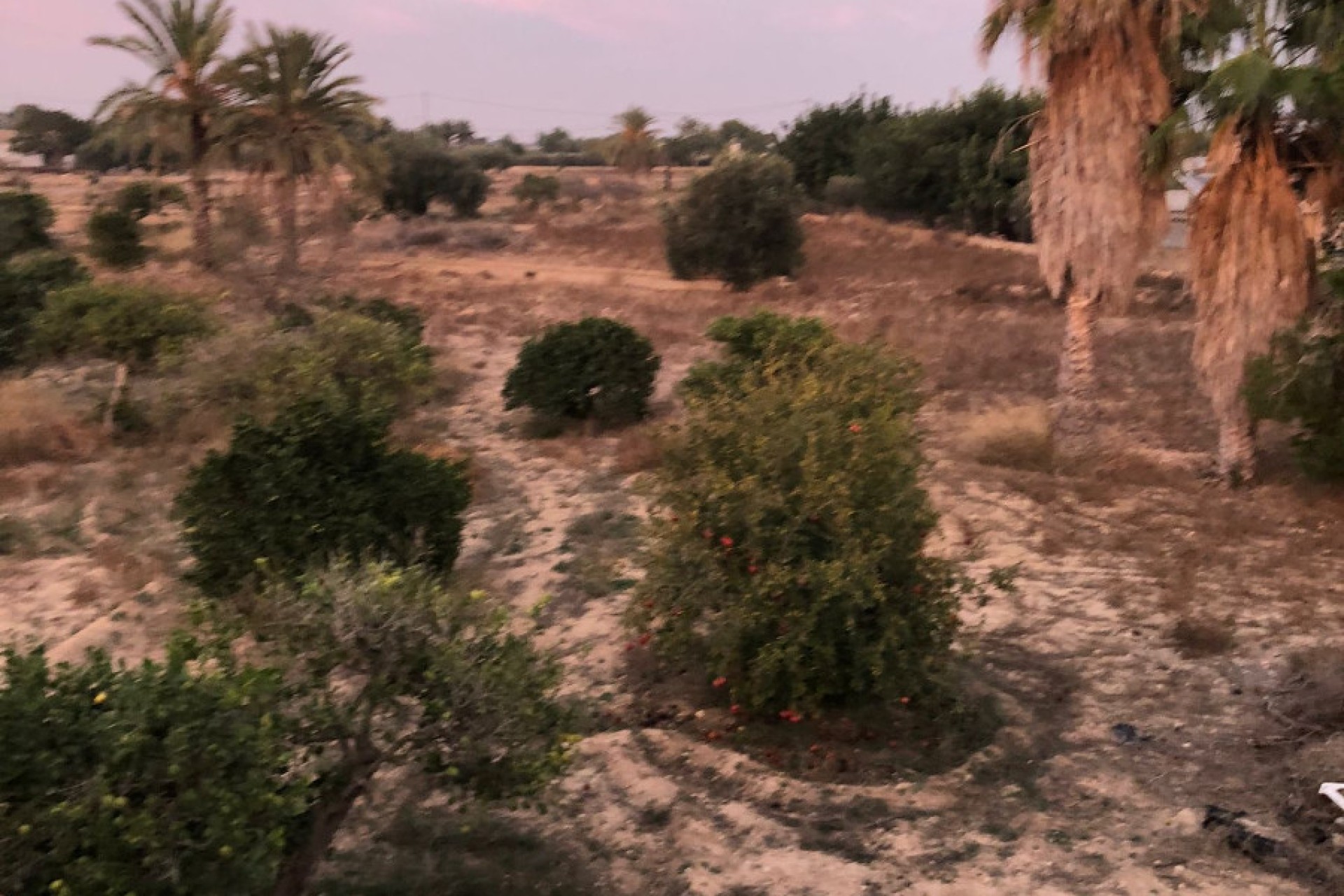 Venta - Casa de campo - Elche - La Marina