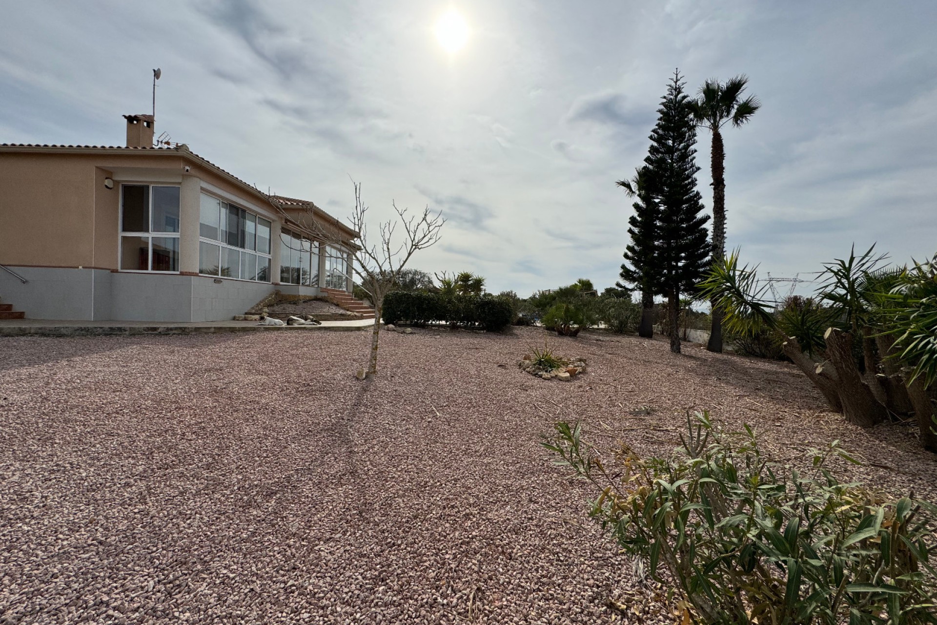 Venta - Casa de campo - Elche - La Marina