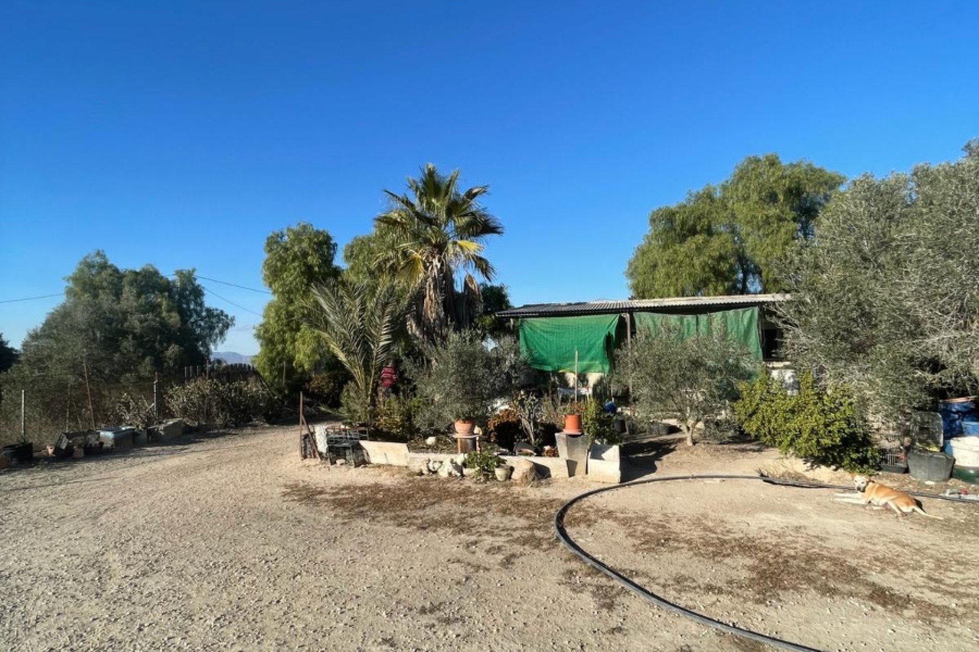 Venta - Casa de campo - Elche - La Marina