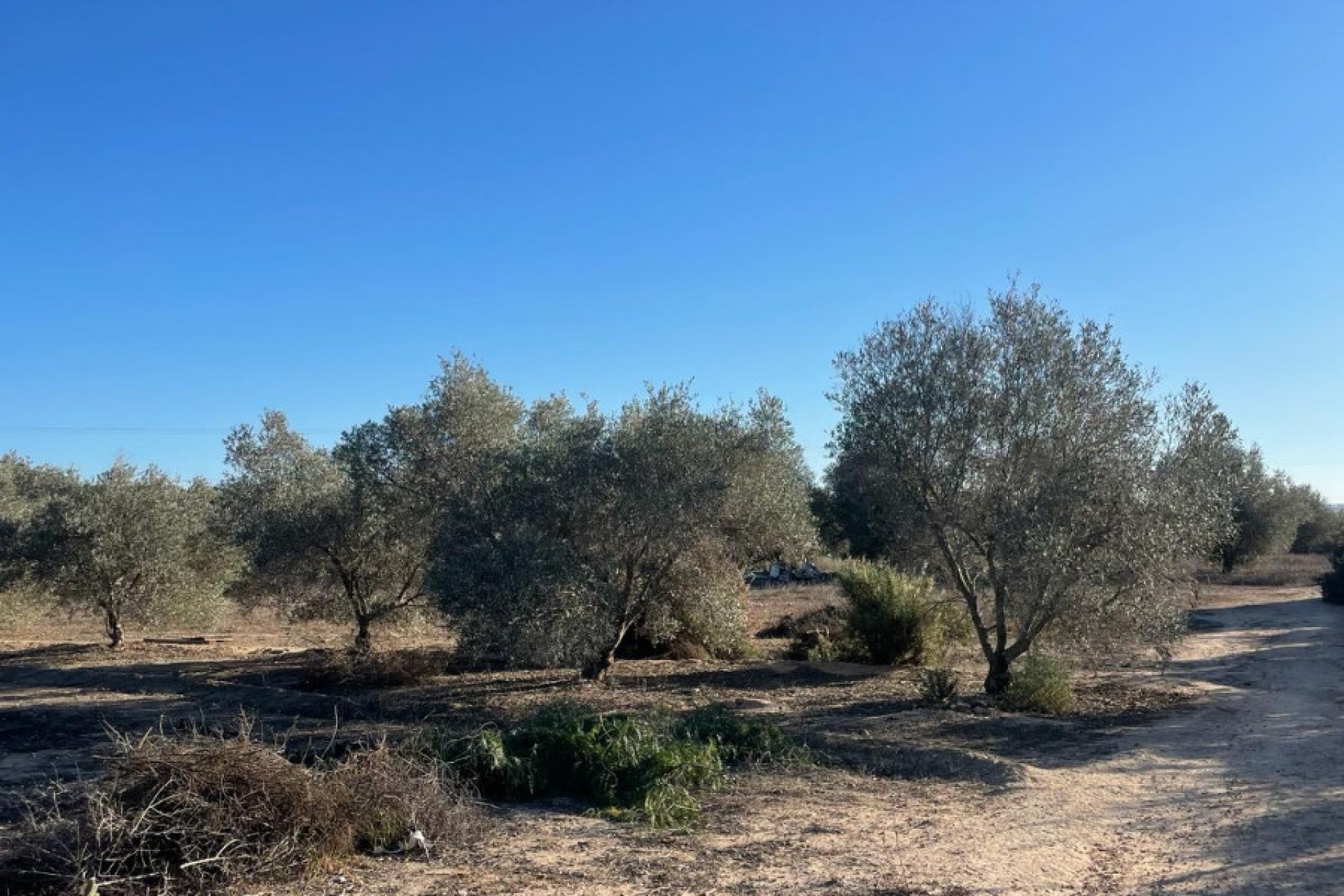 Venta - Casa de campo - Elche - La Marina