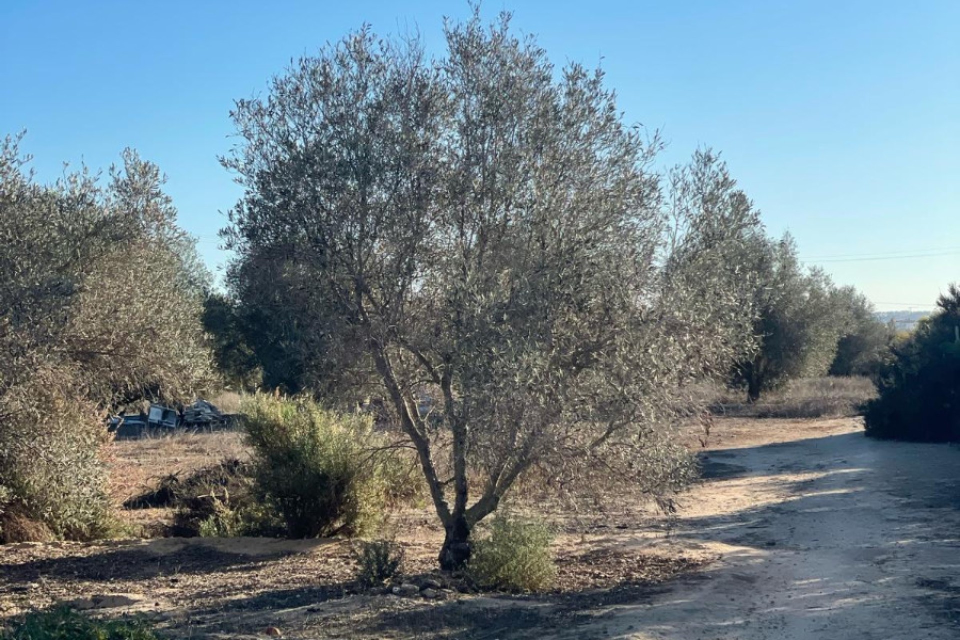 Venta - Casa de campo - Elche - La Marina