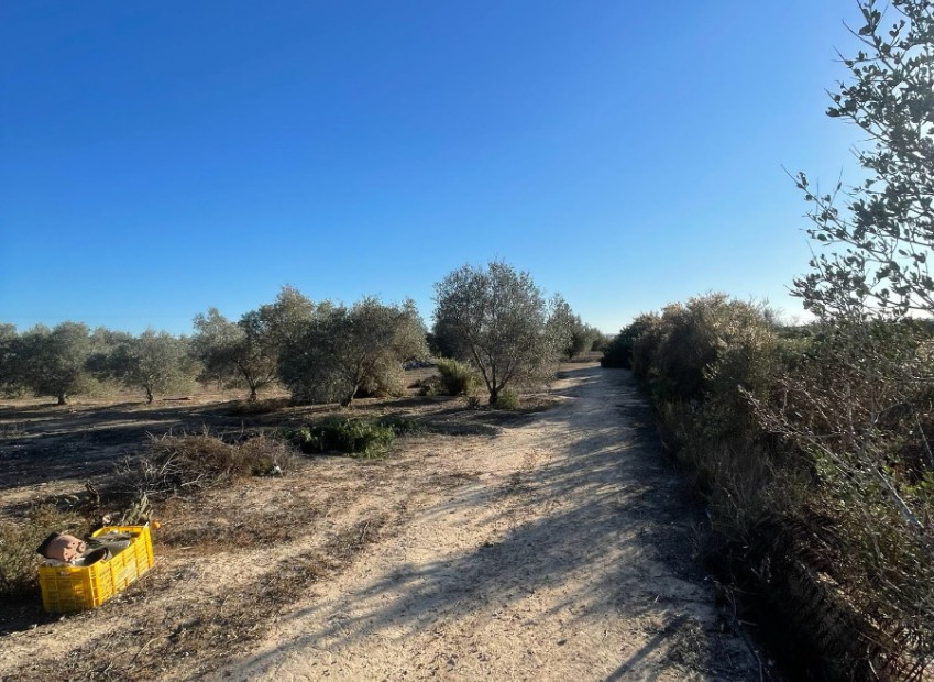 Venta - Casa de campo - Elche - La Marina