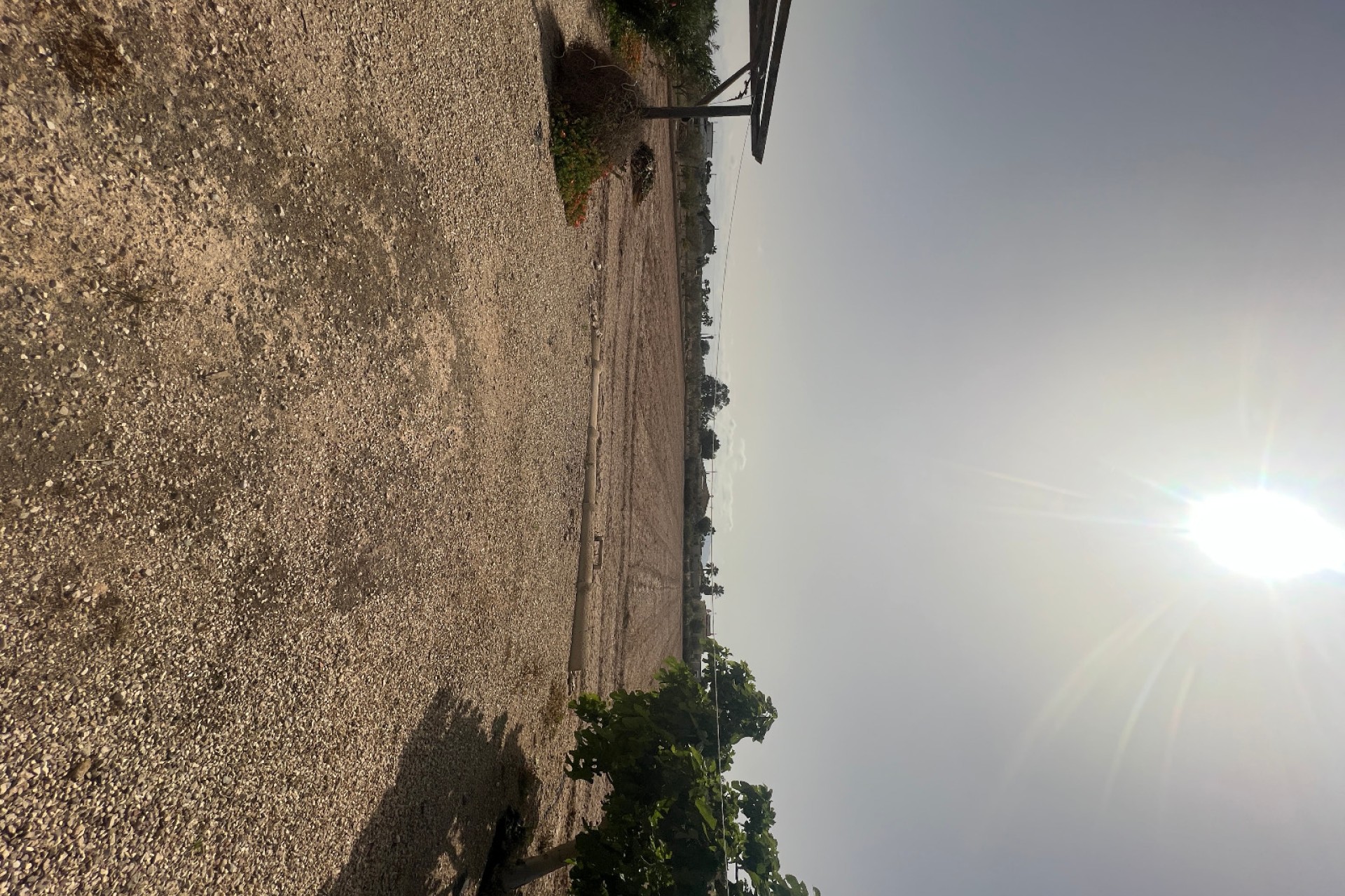 Venta - Casa de campo - Elche - Partida Daimes, La Hoya