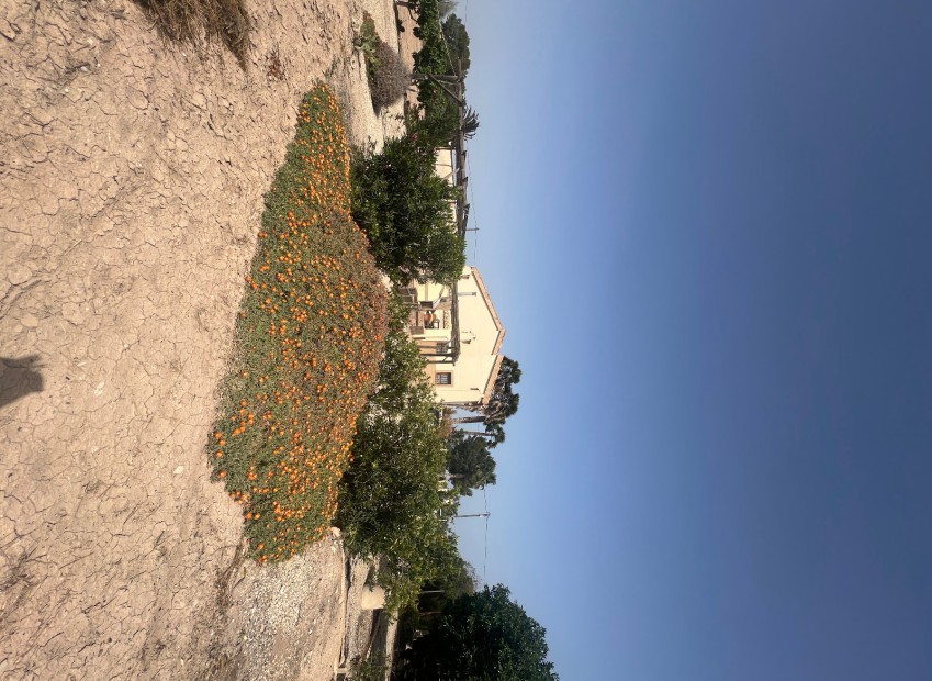 Venta - Casa de campo - Elche - Partida Daimes, La Hoya