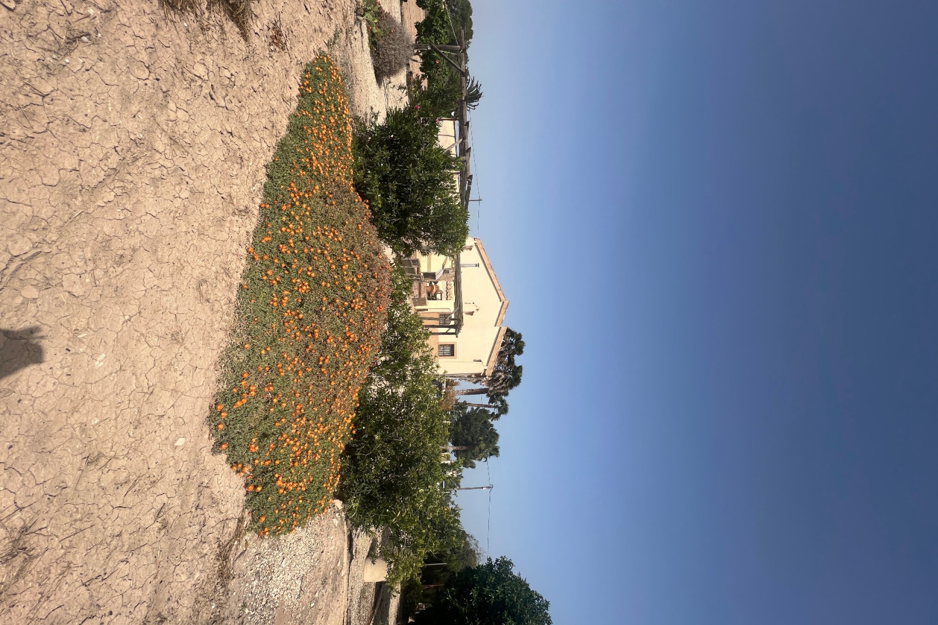 Venta - Casa de campo - Elche - Partida Daimes, La Hoya