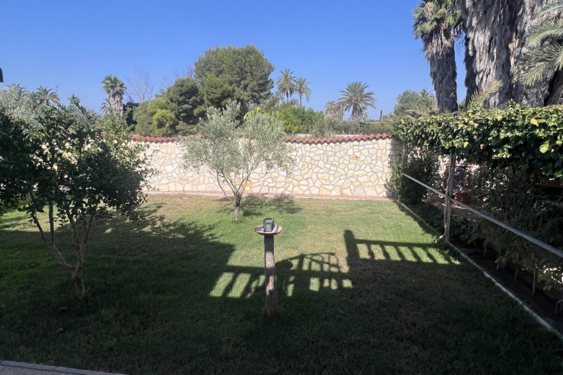 Venta - Casa de campo - Elche - Partida Daimes, La Hoya