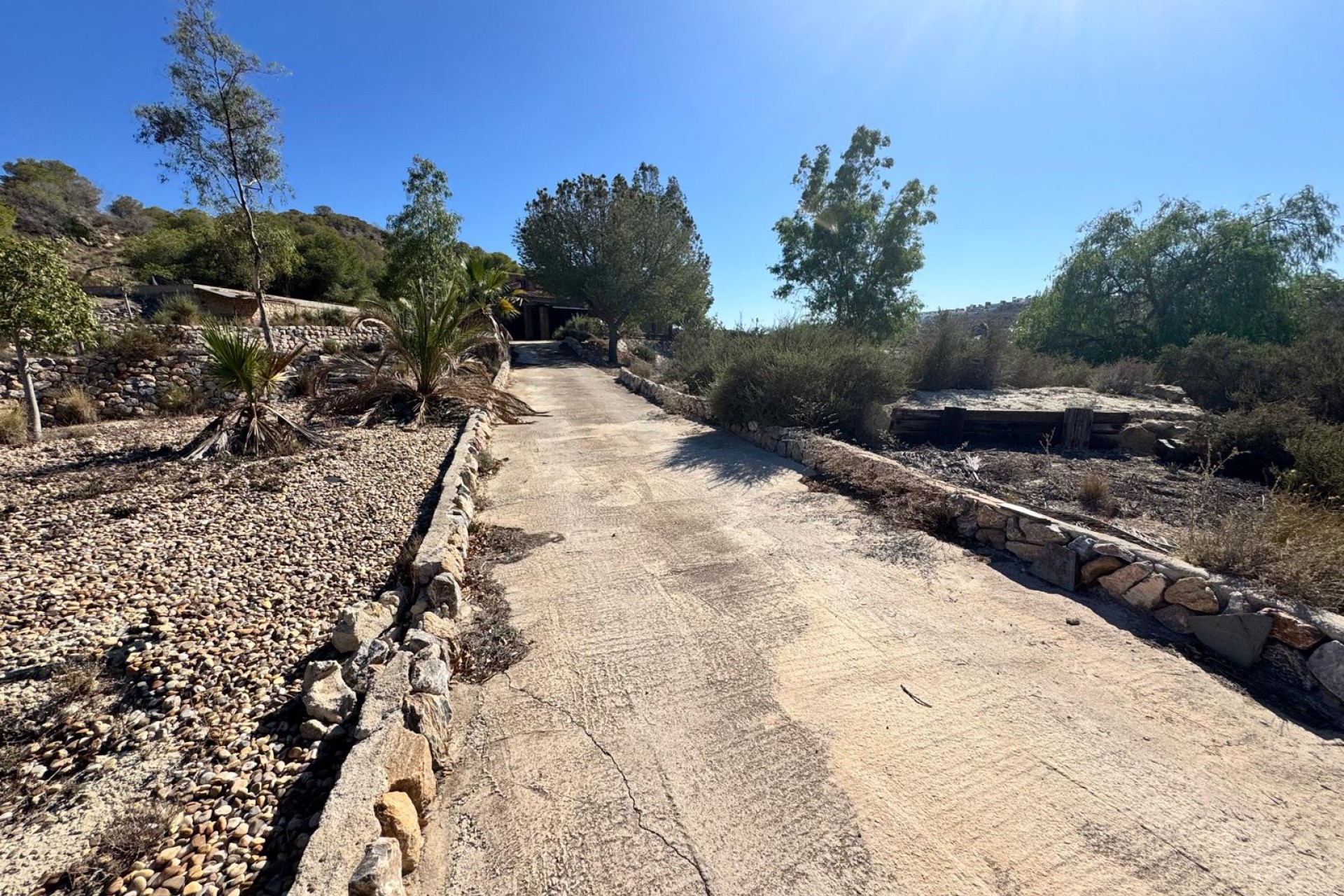 Venta - Casa de campo - Guardamar del Segura - Guardamar 