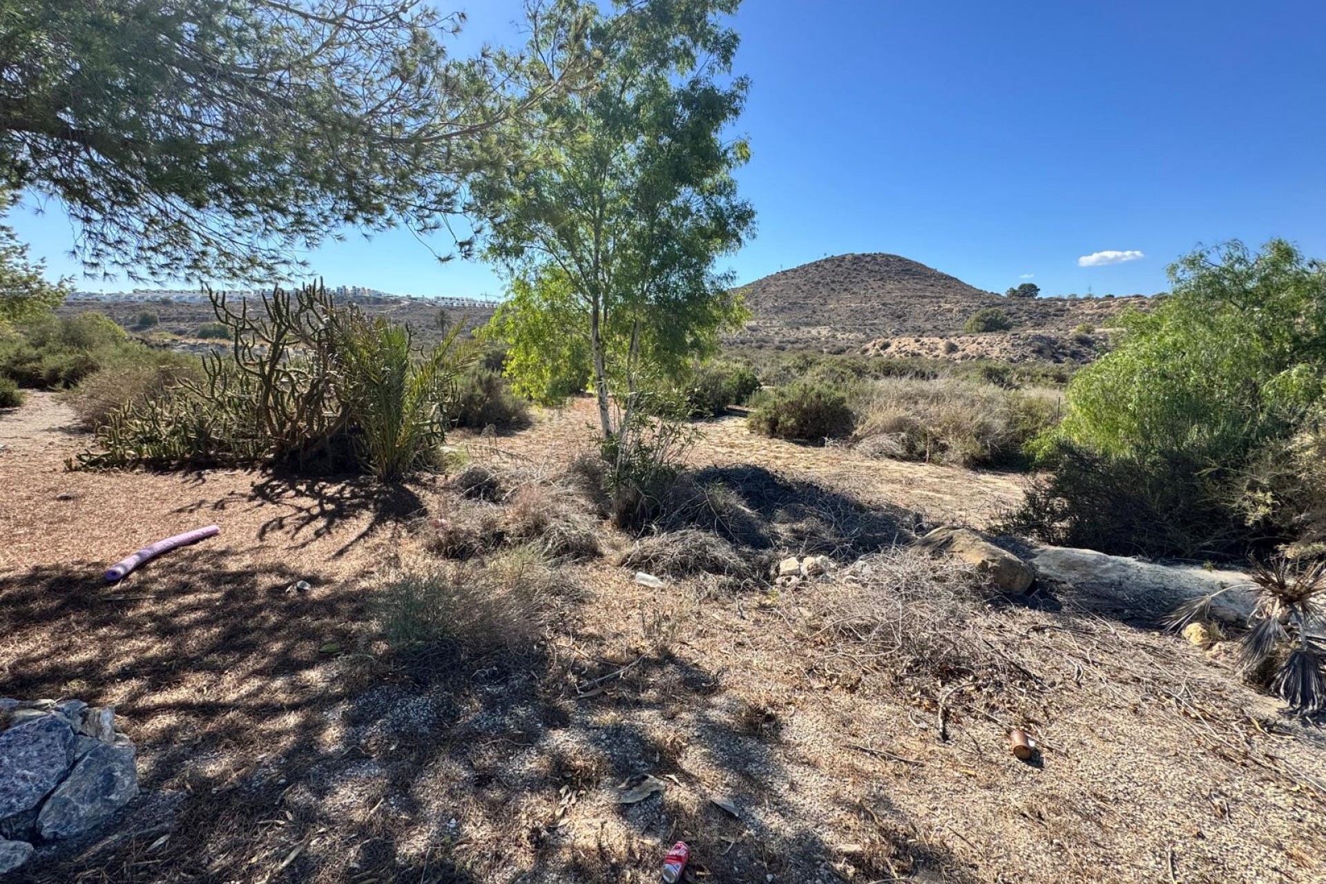 Venta - Casa de campo - Guardamar del Segura - Guardamar 