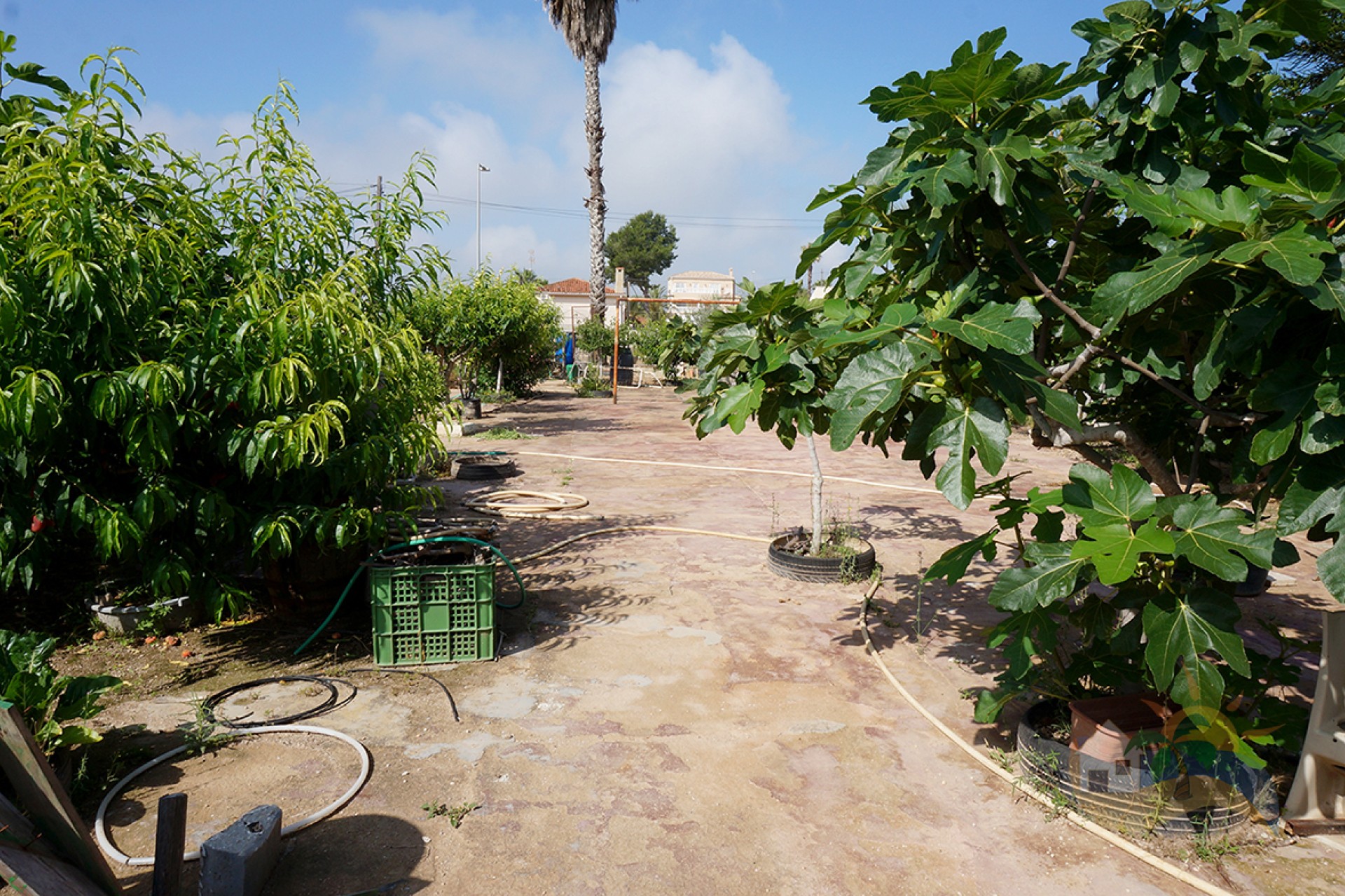 Venta - Casa de campo - San Fulgencio - Urb. Oasis