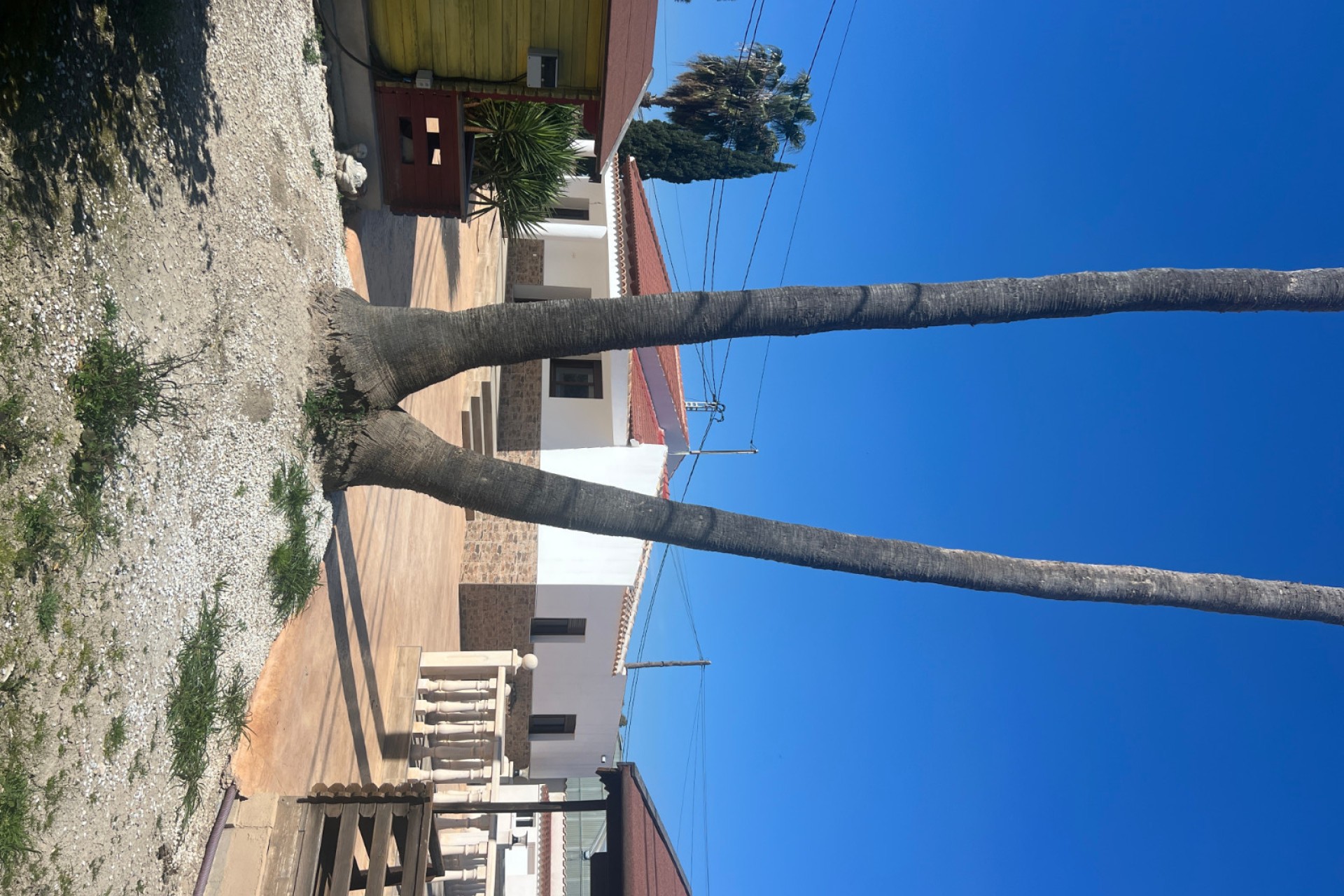 Venta - Chalet independiente - Dolores