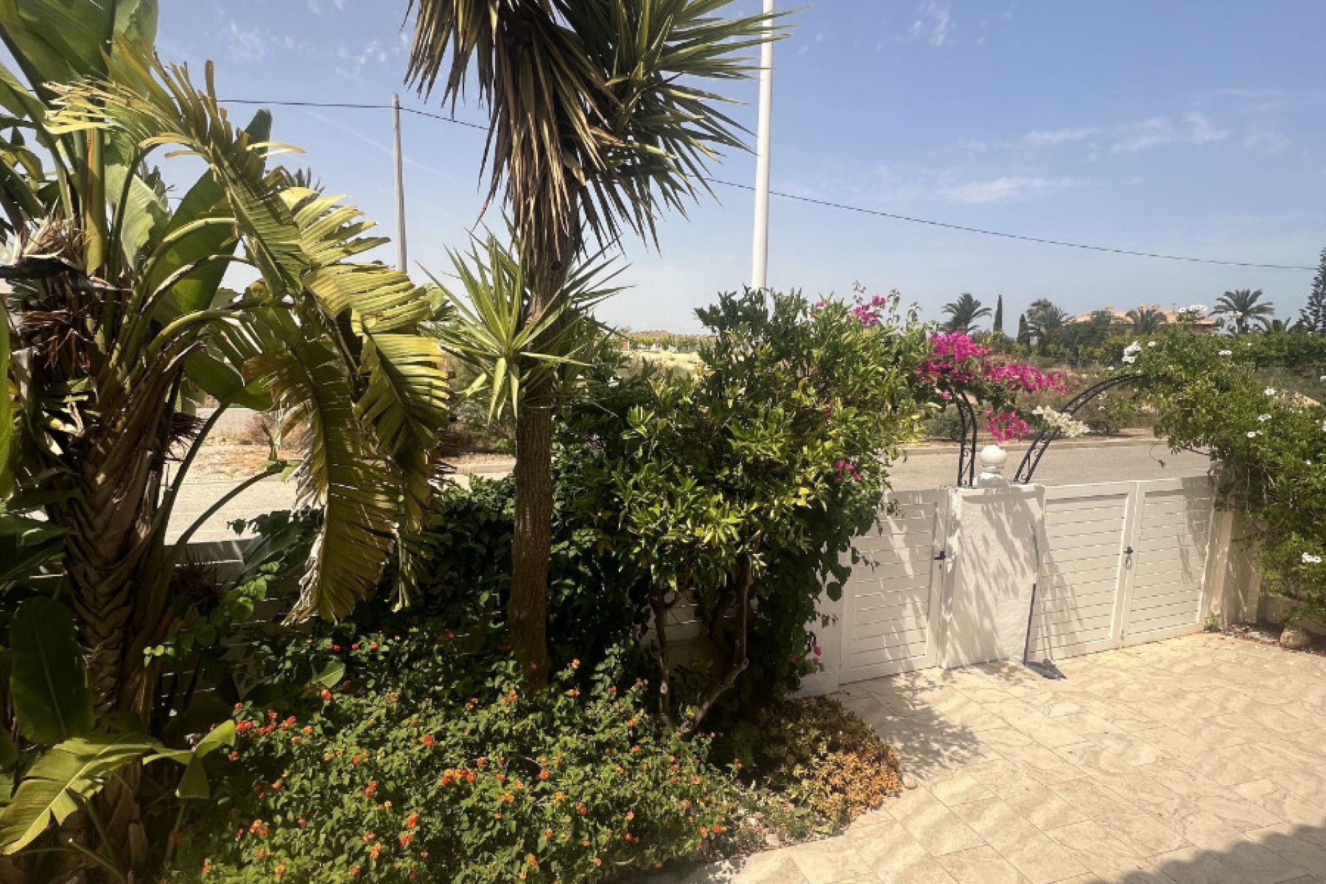 Venta - Chalet independiente - Elche - El Pinet 