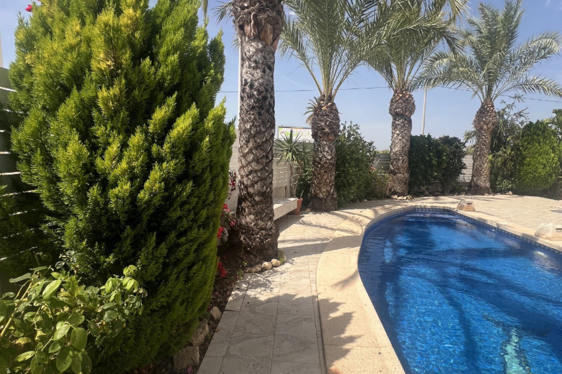 Venta - Chalet independiente - Elche - El Pinet 
