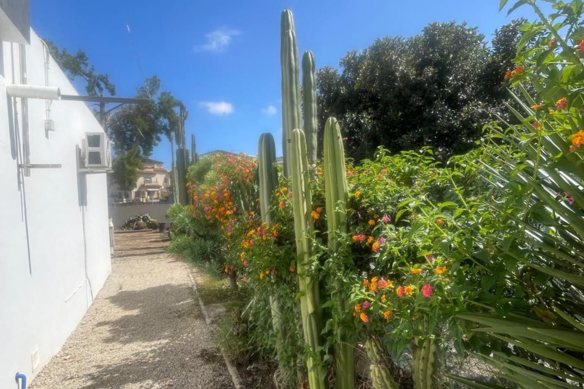 Venta - Chalet independiente - San Fulgencio - La Marina