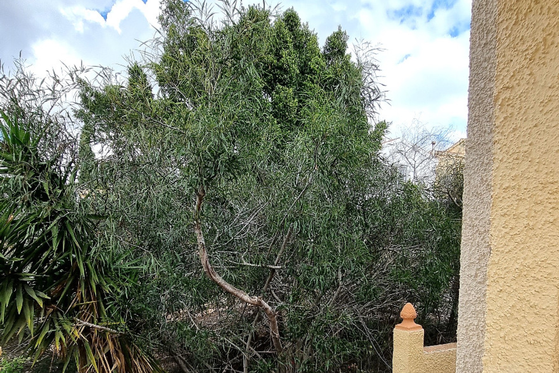 Venta - Chalet independiente - San Fulgencio - Urb. La Marina