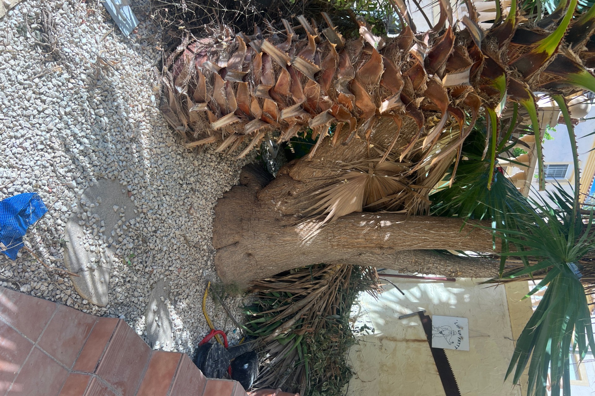 Venta - Chalet independiente - San Fulgencio - Urb. La Marina