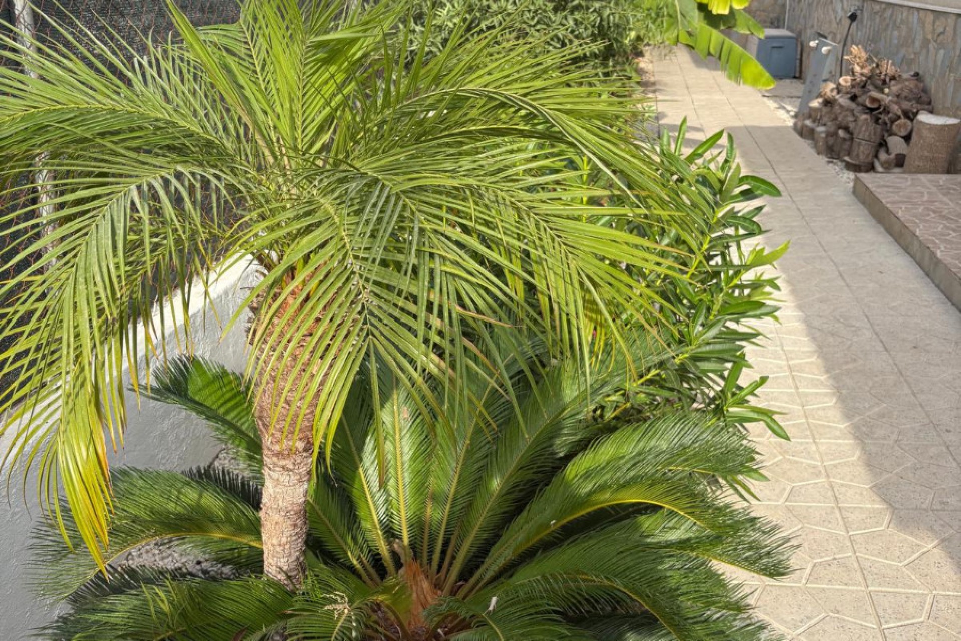 Venta - Chalet independiente - San Fulgencio - Urb. La Marina