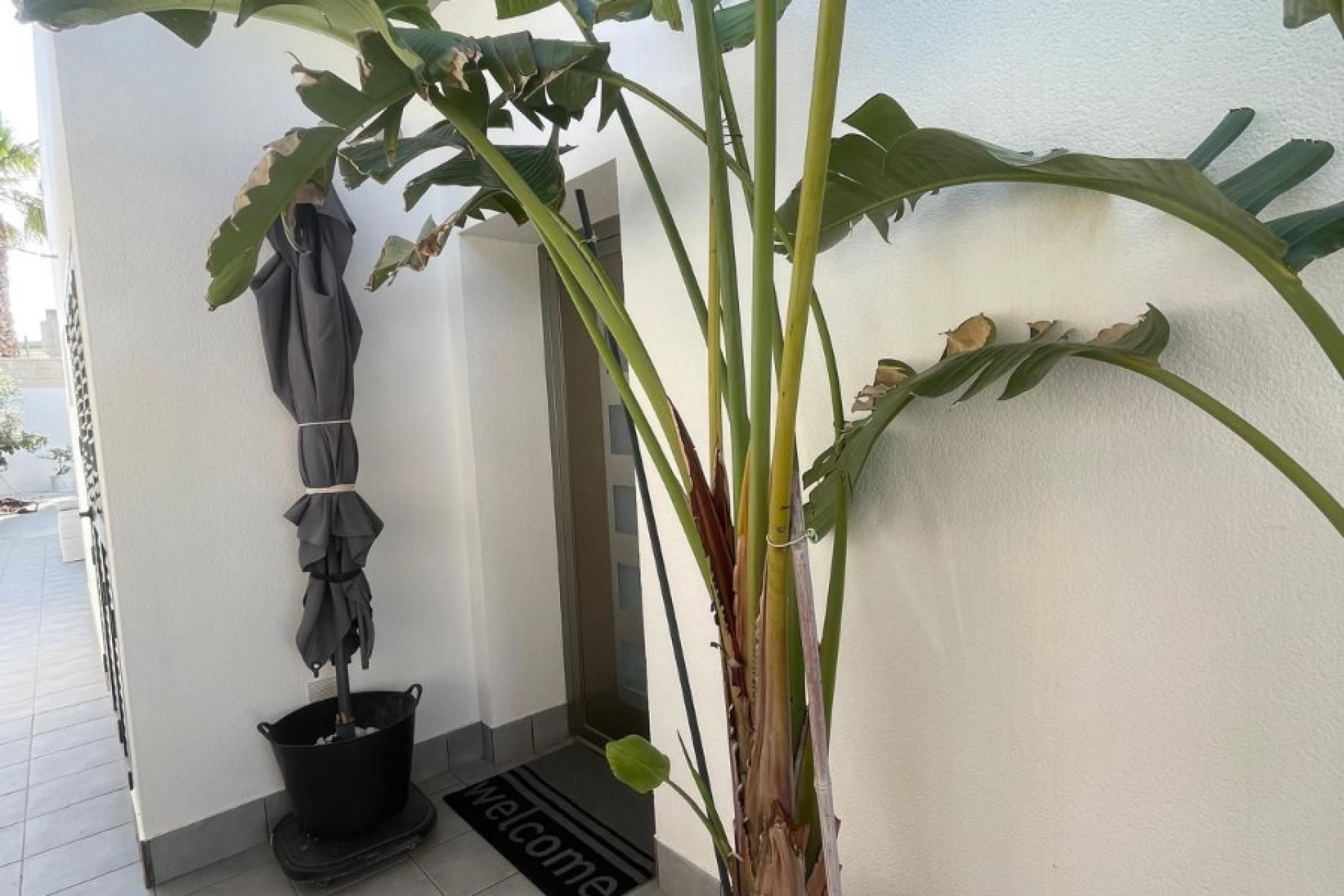 Venta - Chalet independiente - San Fulgencio - Urb. La Marina